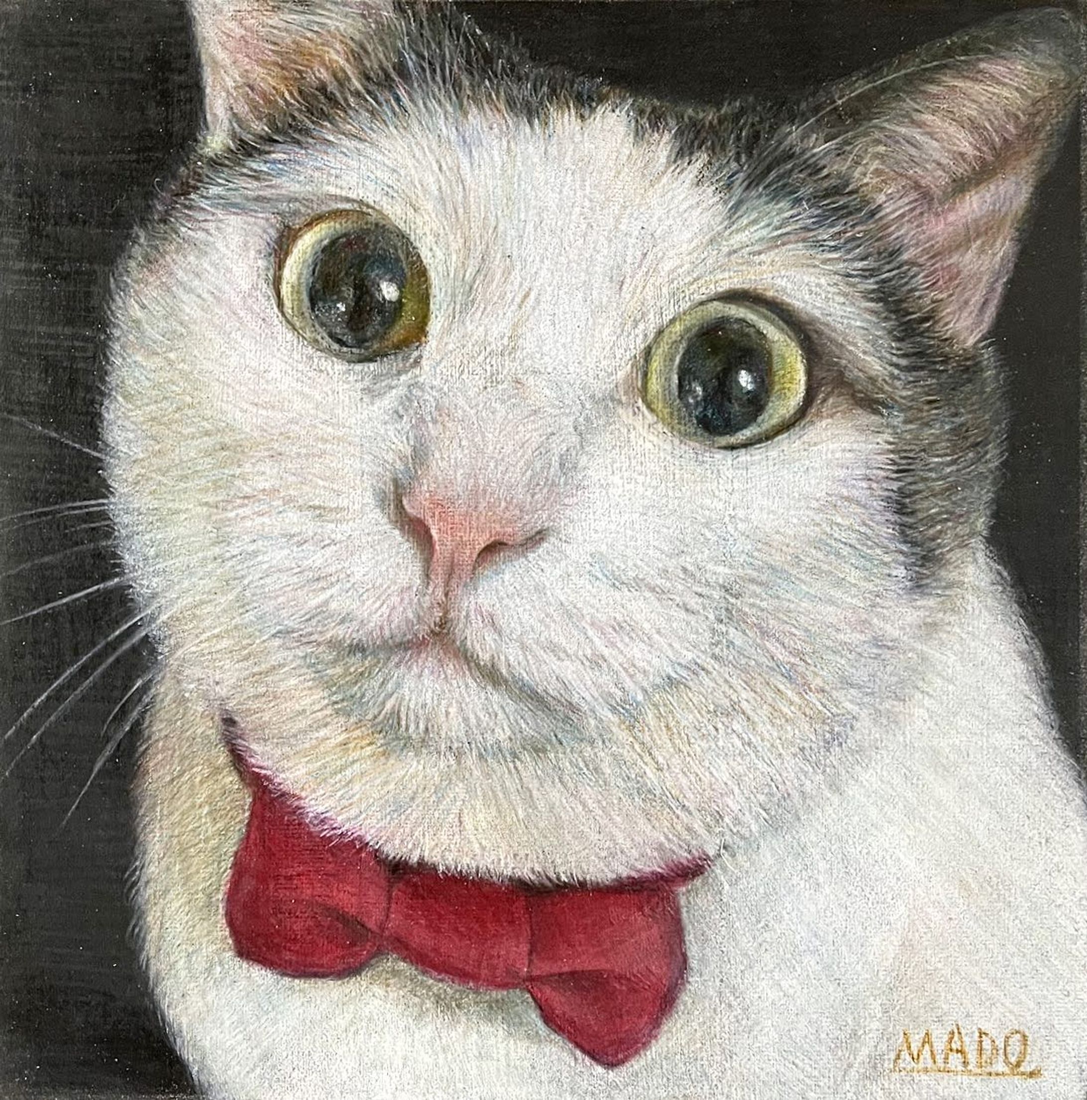 お坊っちゃま　　　
／紙・色鉛筆

#ハチワレ #cat #猫

#animalillustration #芸術 #アート #animal #動物 #かわいい #色鉛筆 #colorpencil #picture #cute #animalartist #animaldrawing #realist #イラスト #絵 #illust #illustration #illustrator  #draw #drawing  #art #artwork #artist #sketch  #works #Artsticker #外出自粛-1