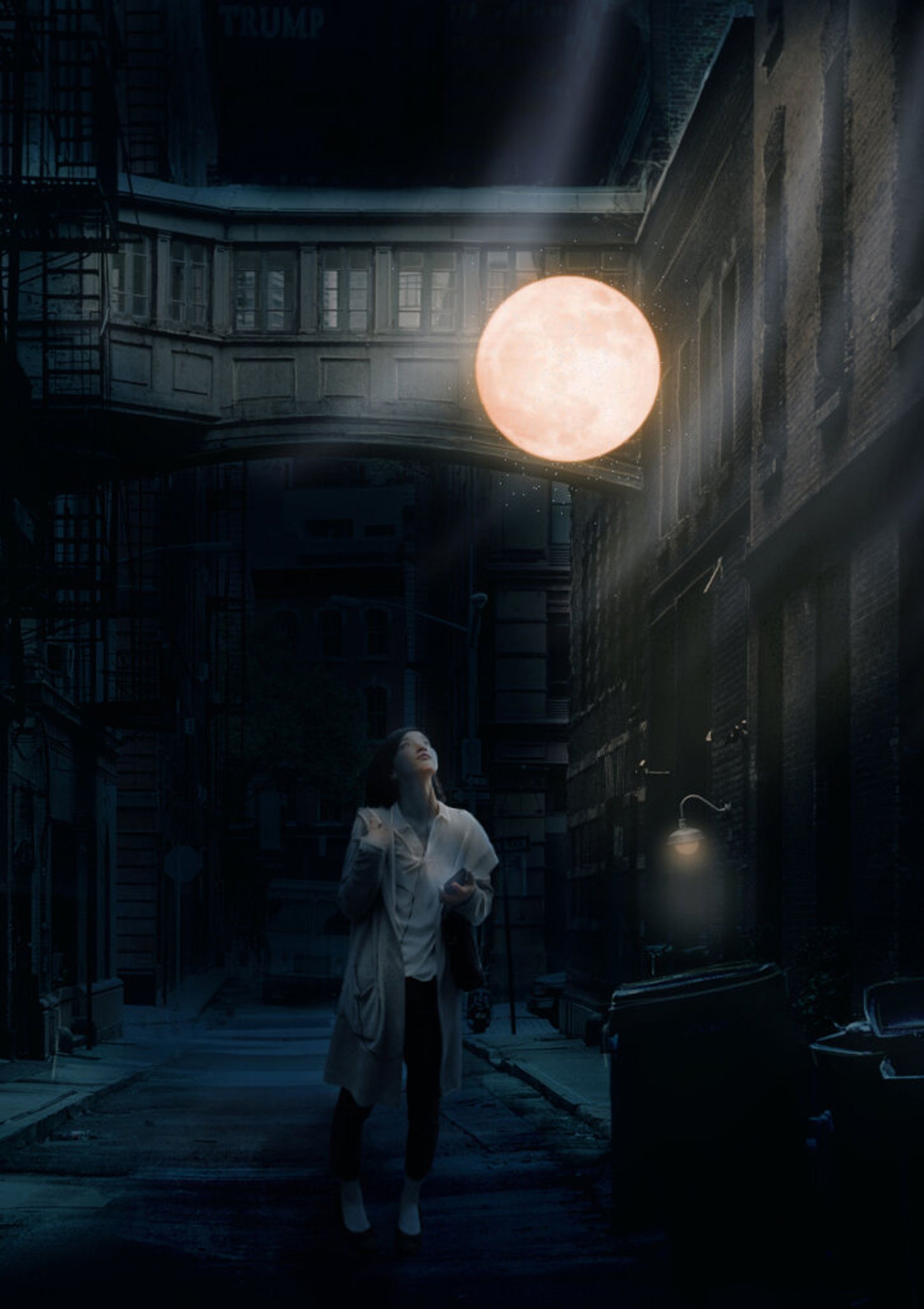 Personal works - Graphic-1