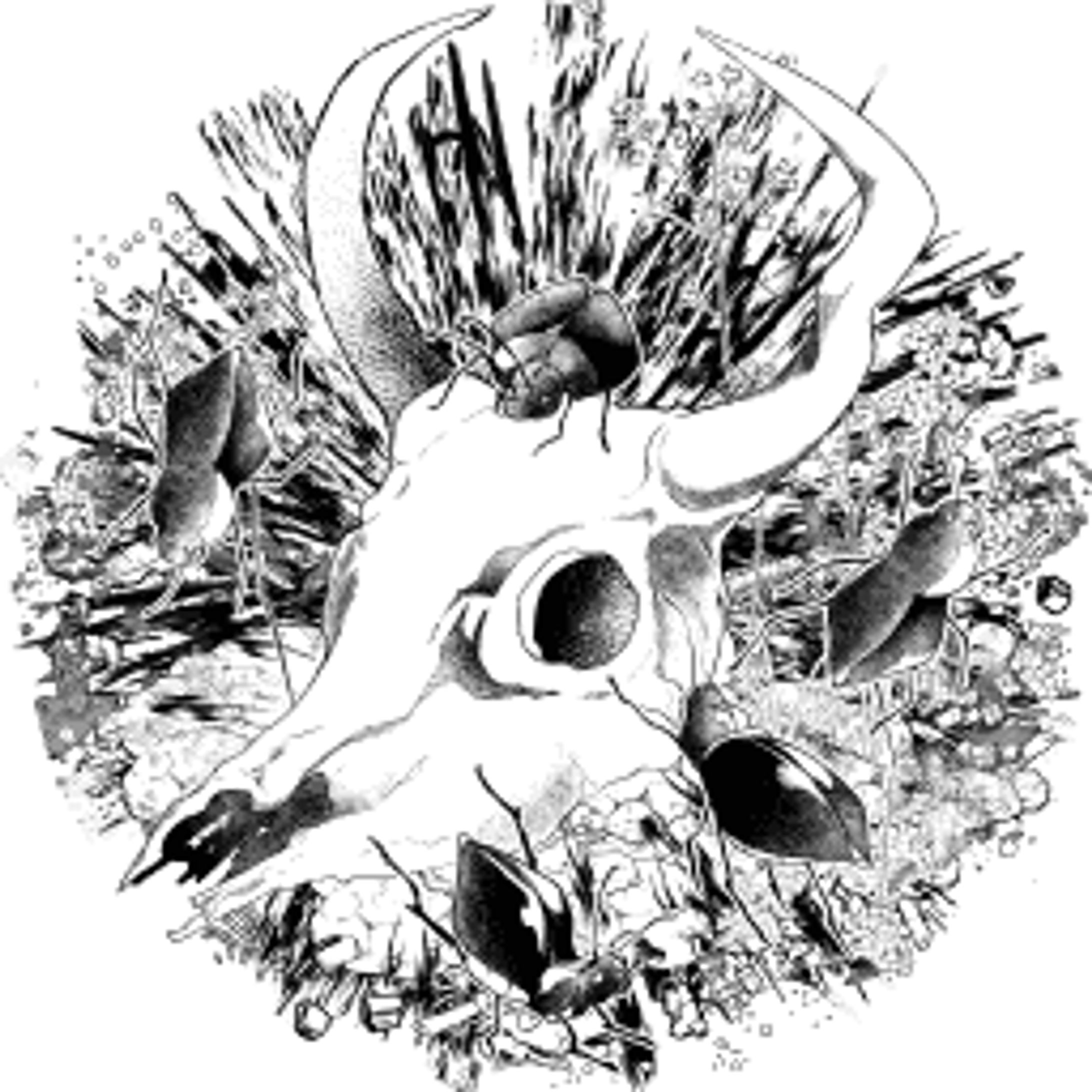 アイテム『死出虫』-1