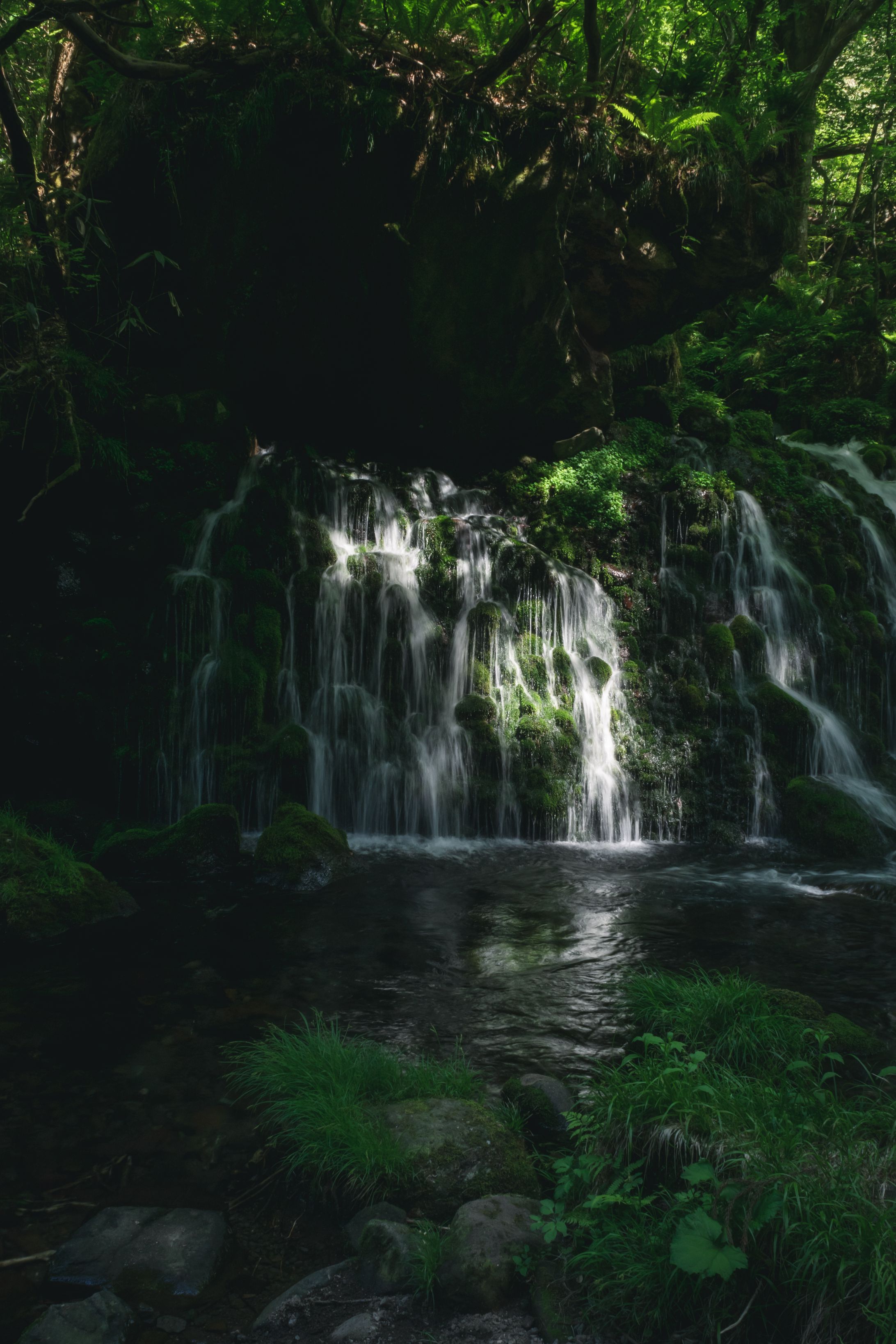landscape-1