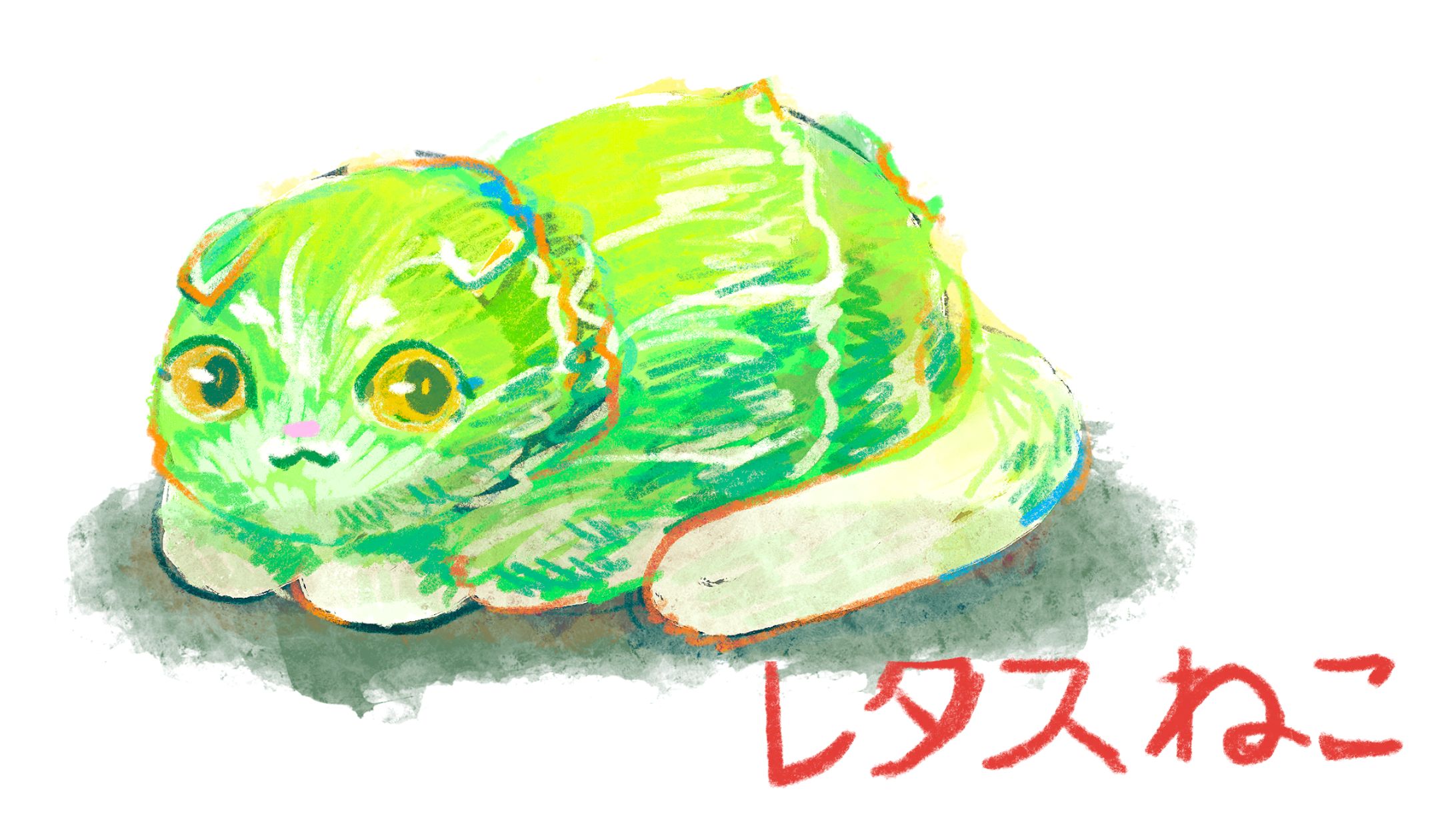 レタスねこ-1