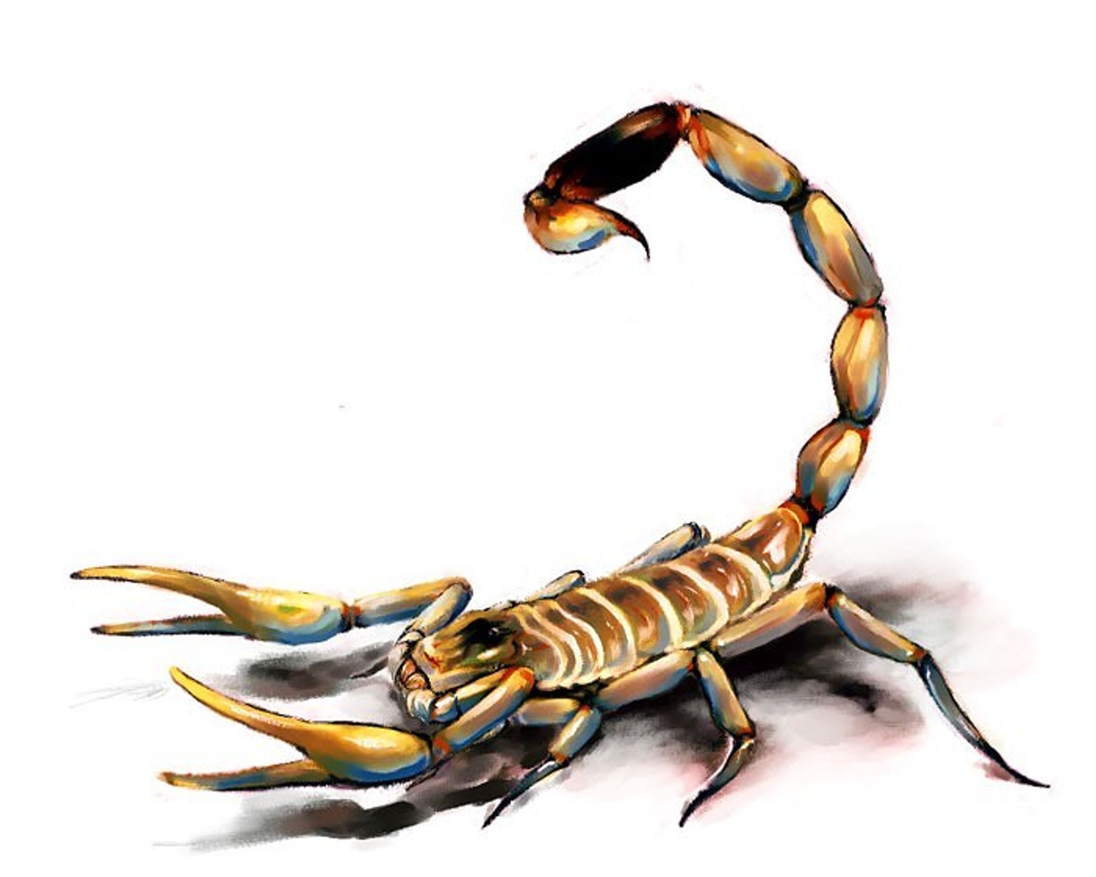 Scorpion
CG(painter)

蠍: デスストーカー
ペインターにて

#illustration #scorpion #蠍 #イラスト #corelpainter-1