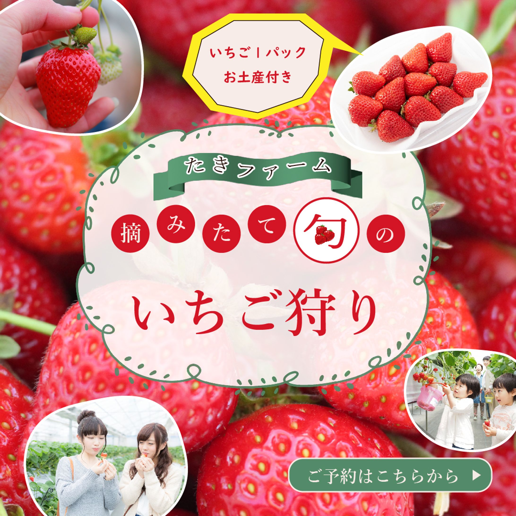 いちご狩り訴求バナー-1