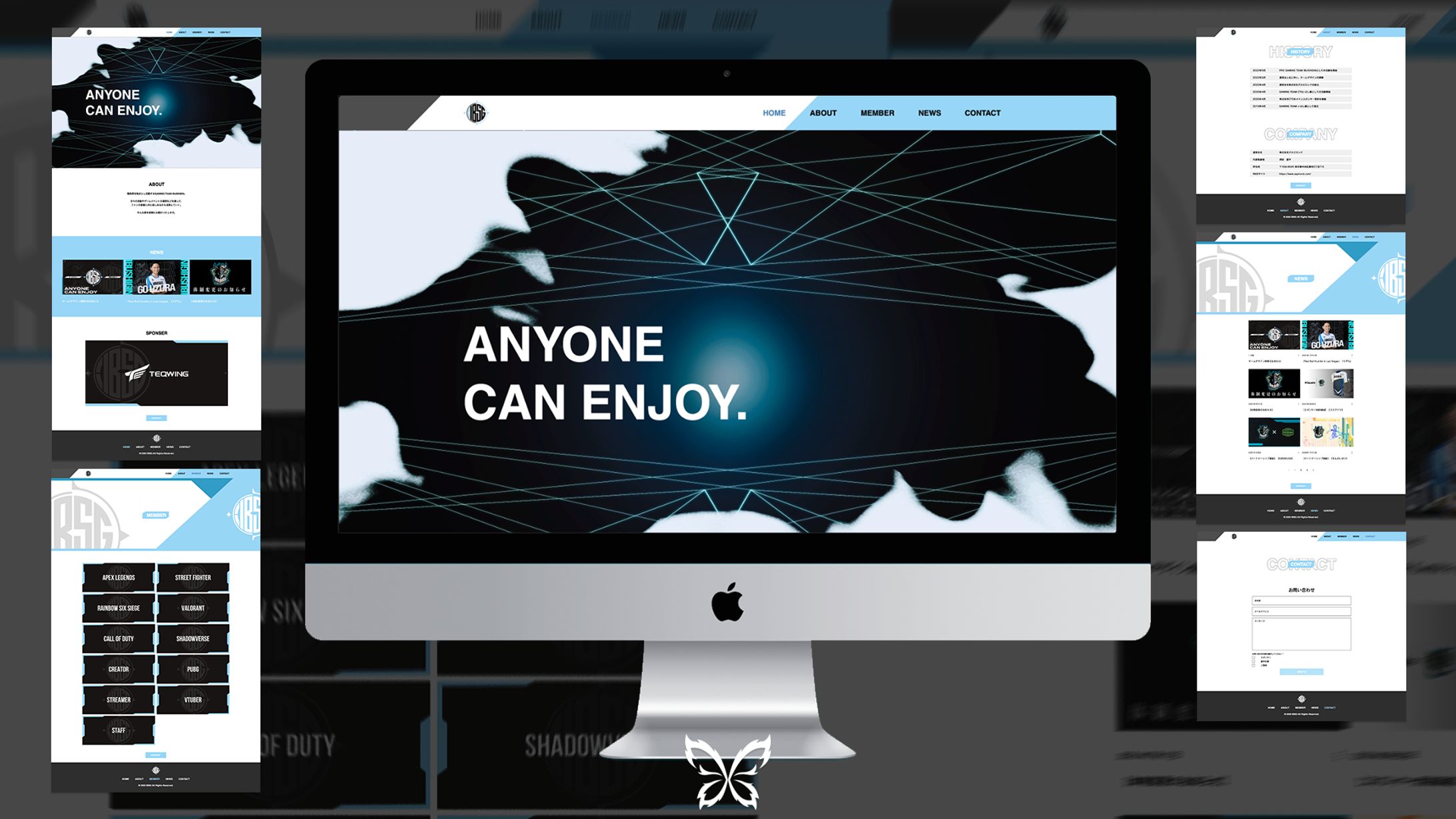 PRO GAMINGTEAM IBUSHIGIN｜WEBサイト-1