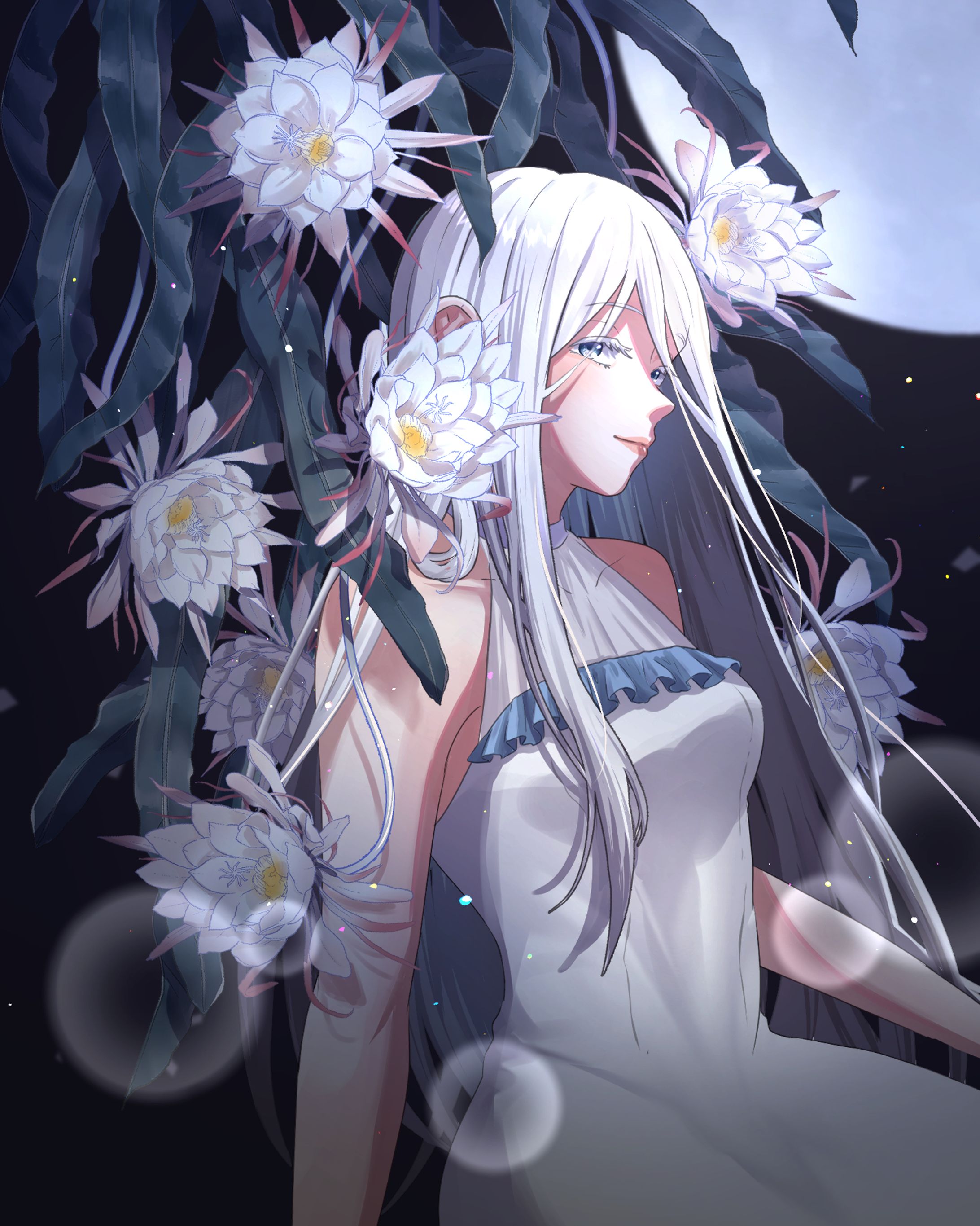 Original-1