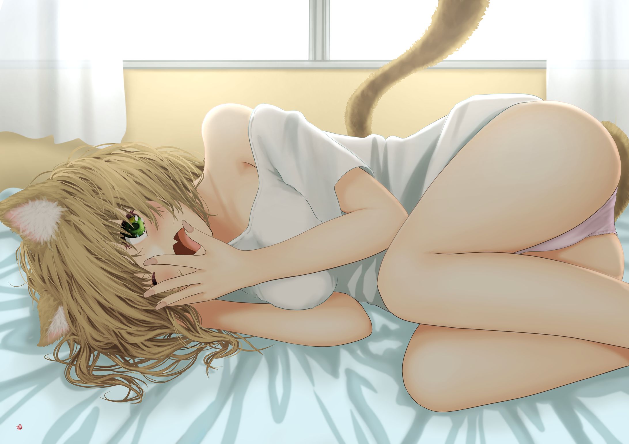 Cute Stray Cat-1