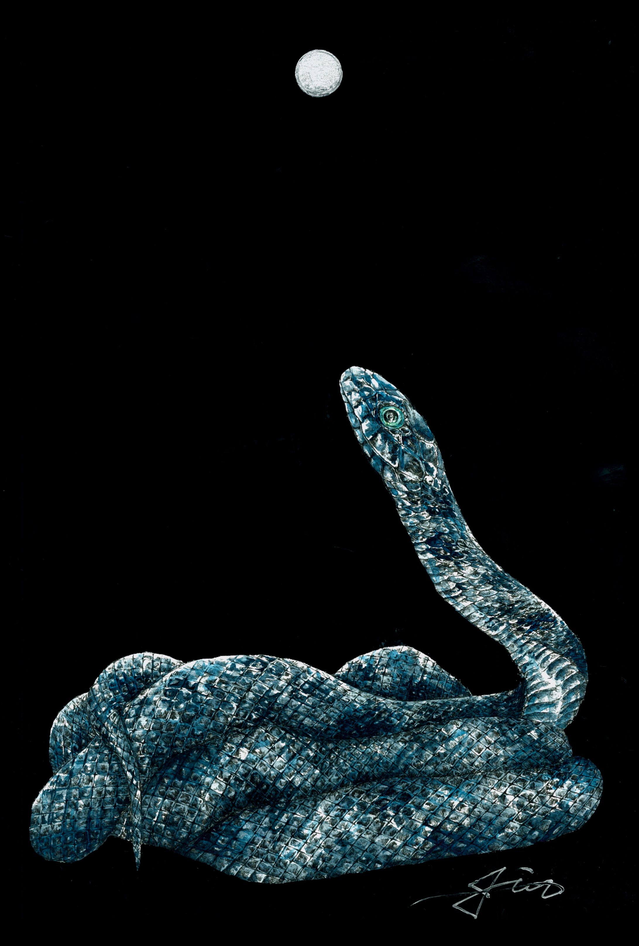 blue phase-1