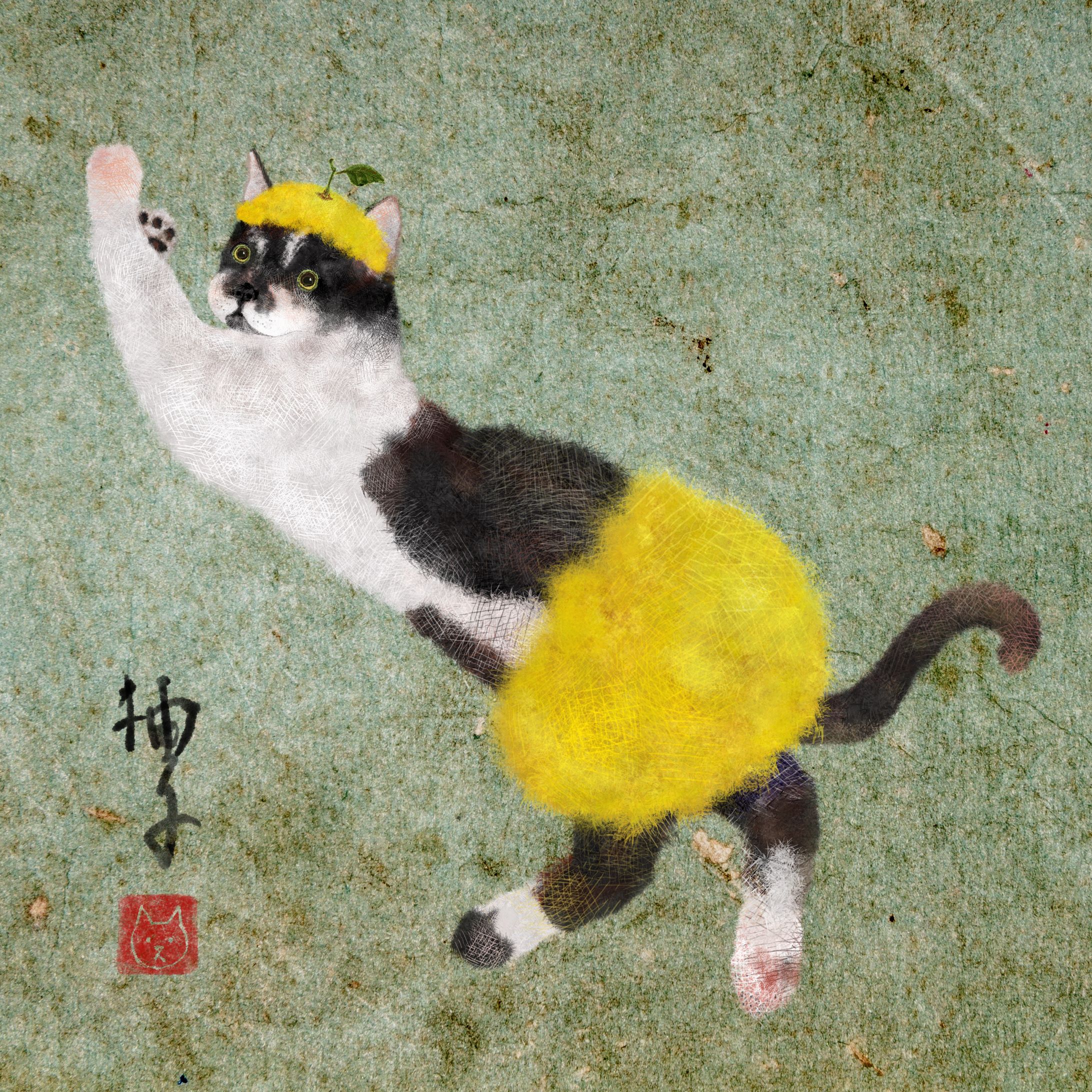 Tuxedo cat-1