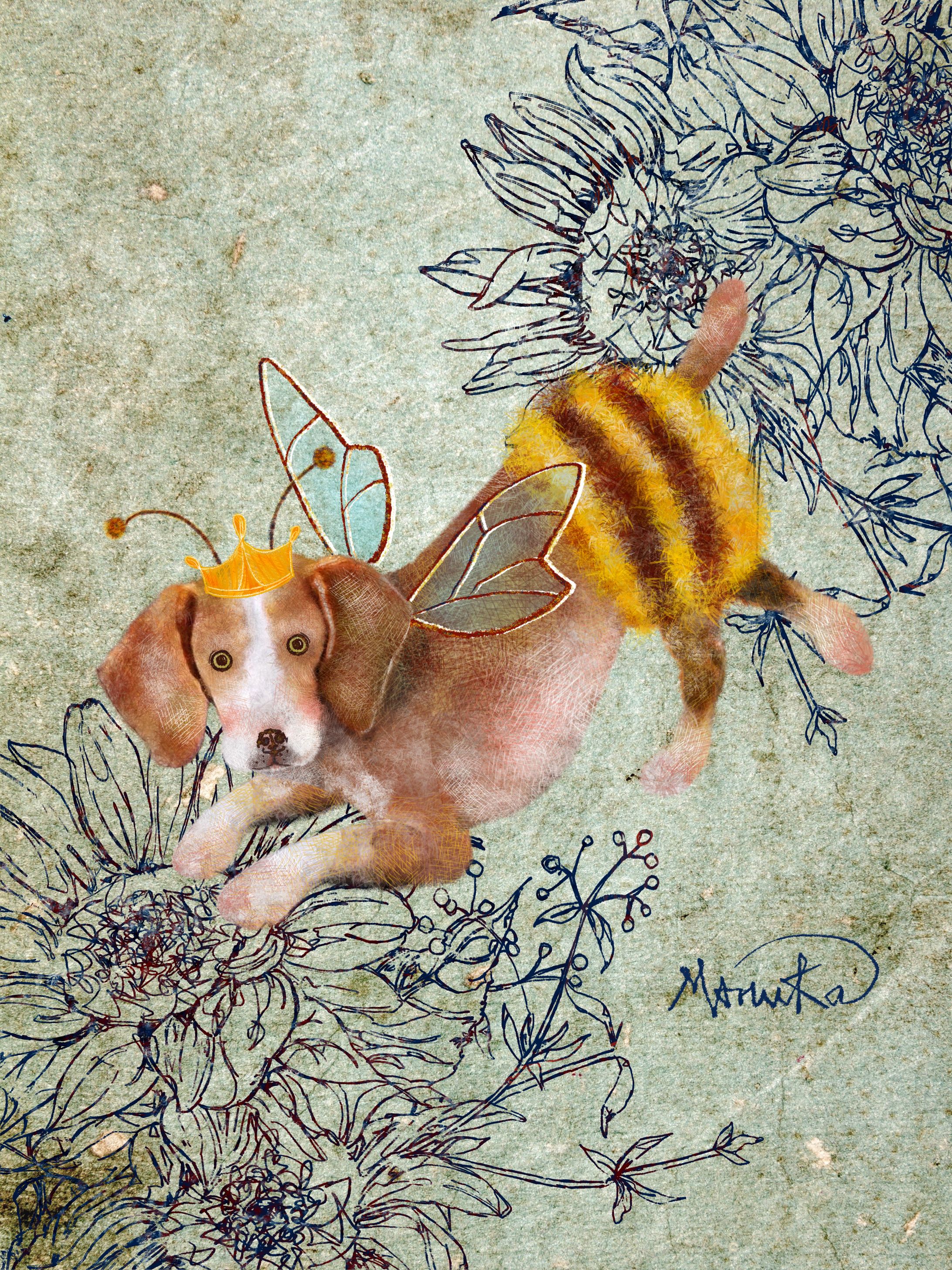 Beagle dog in bumble bee costume-1