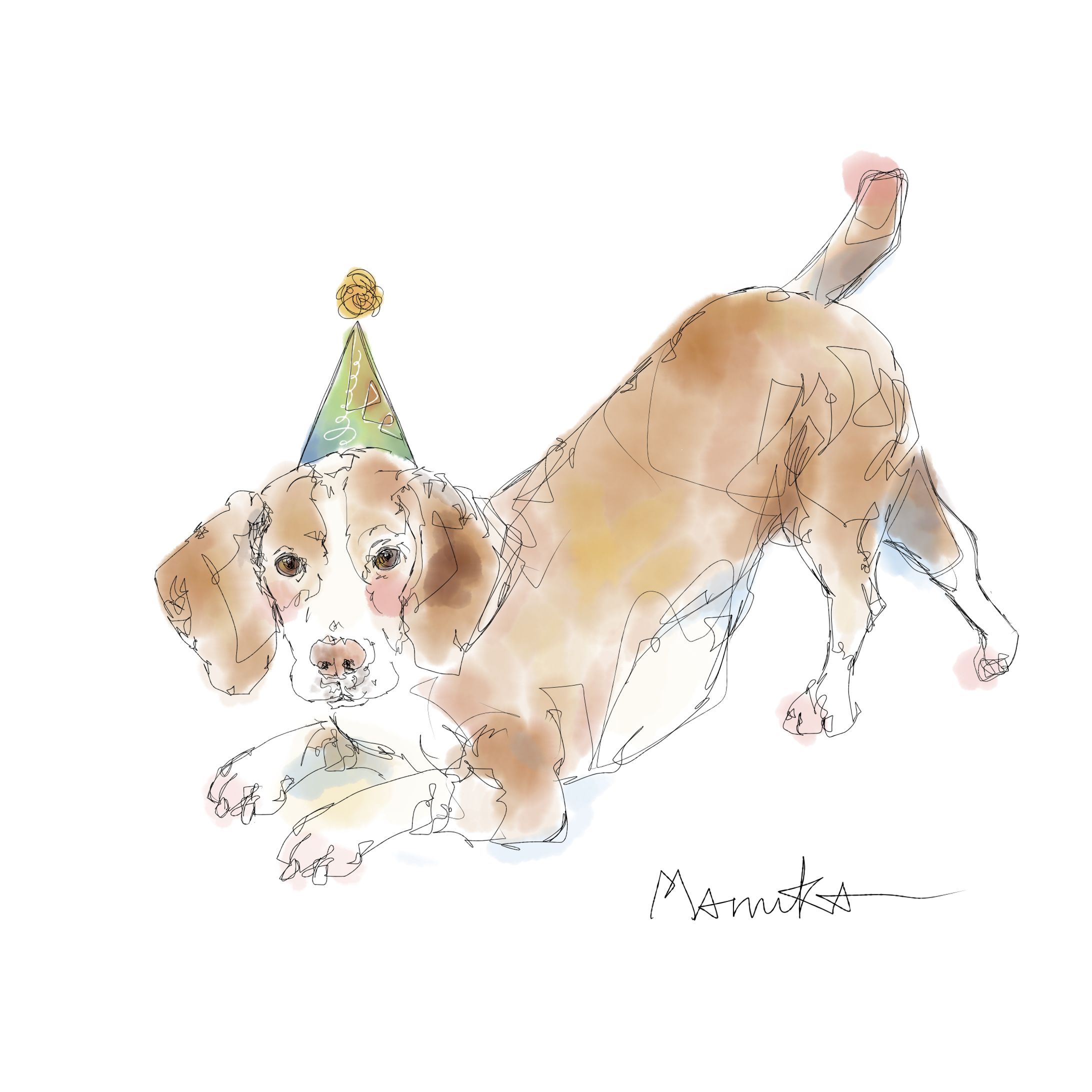Beagle dog-1