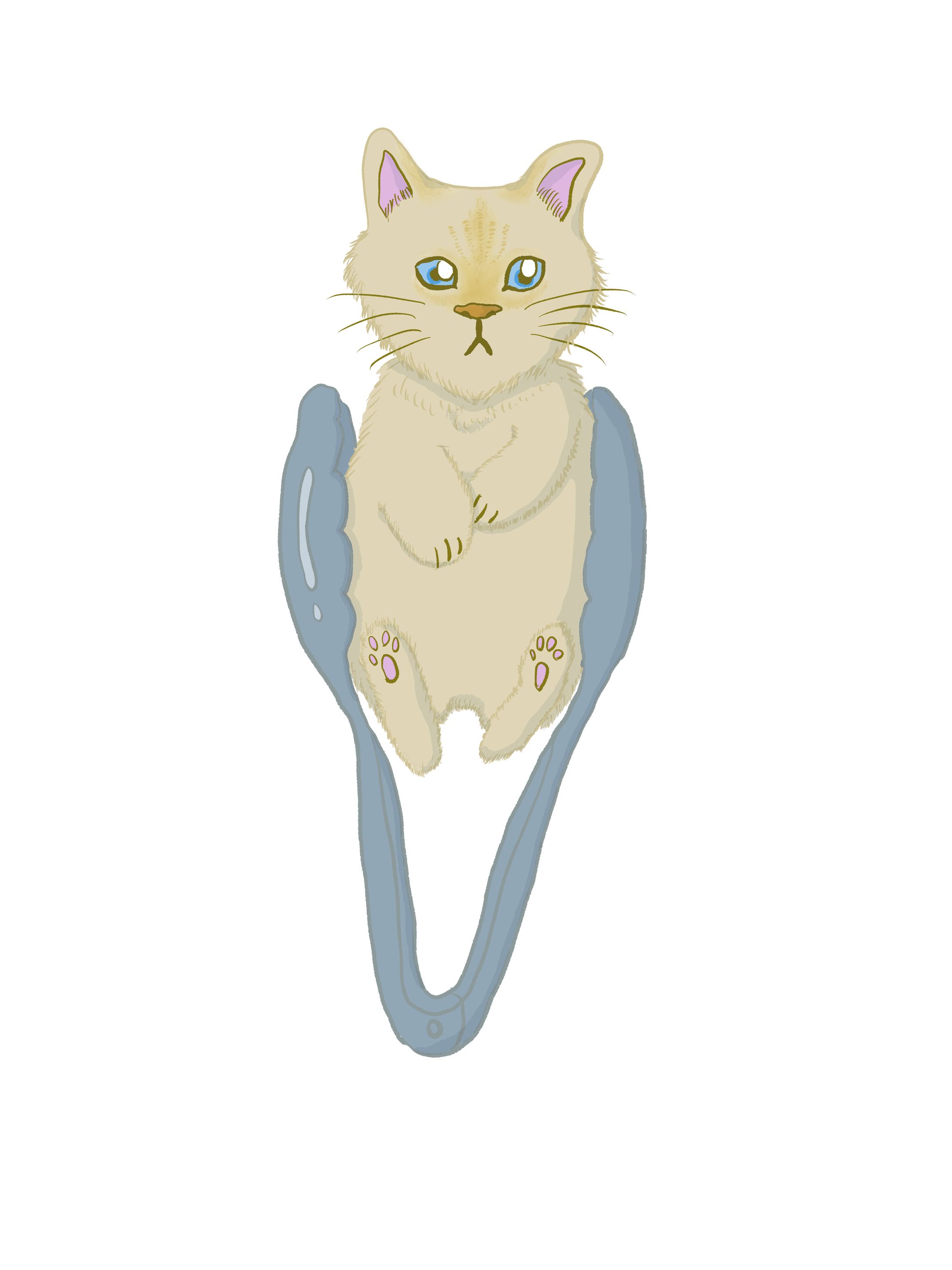 トング猫 -1