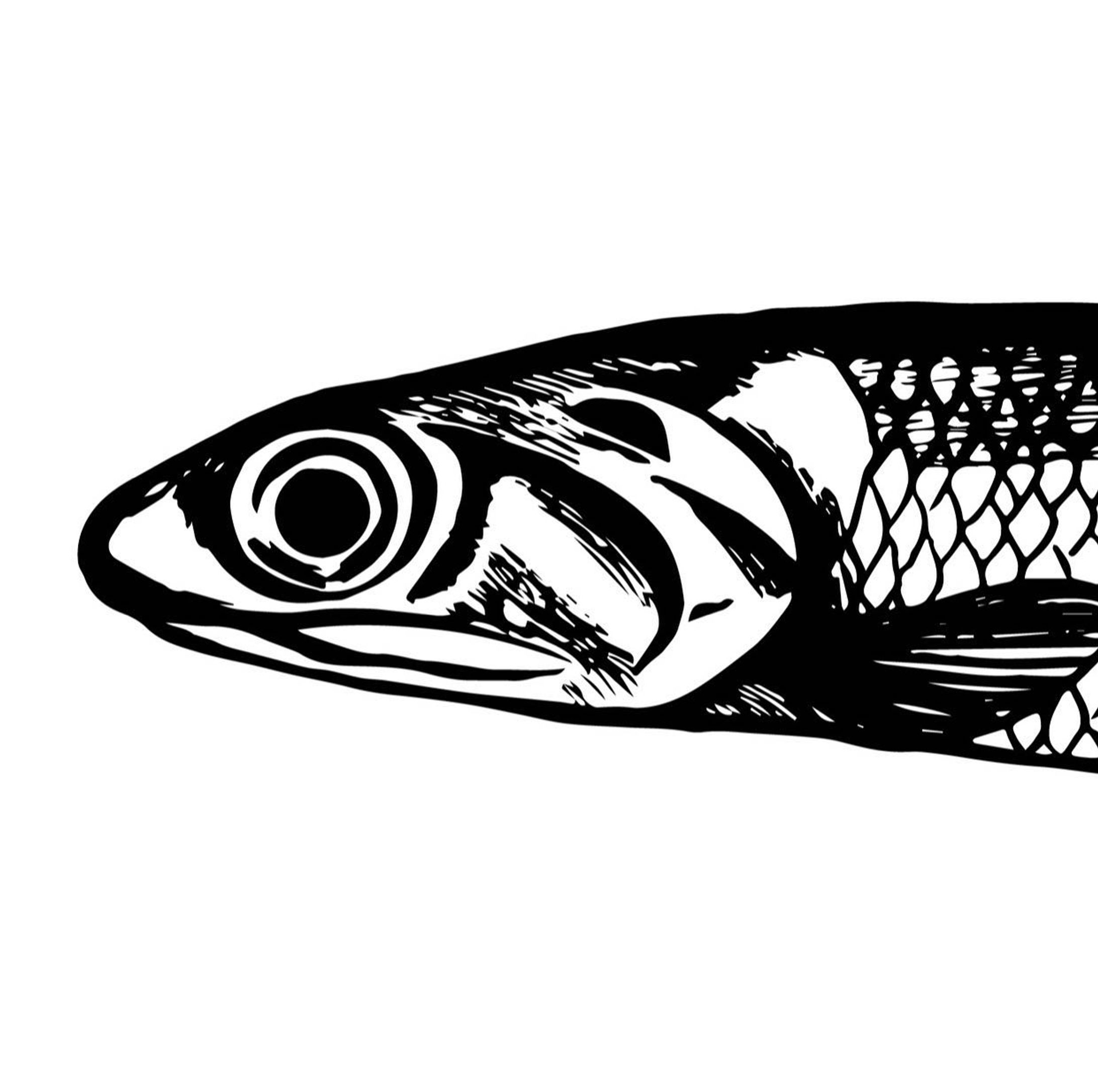 /// works - Illustration 👩🏻‍🎨🐟-1