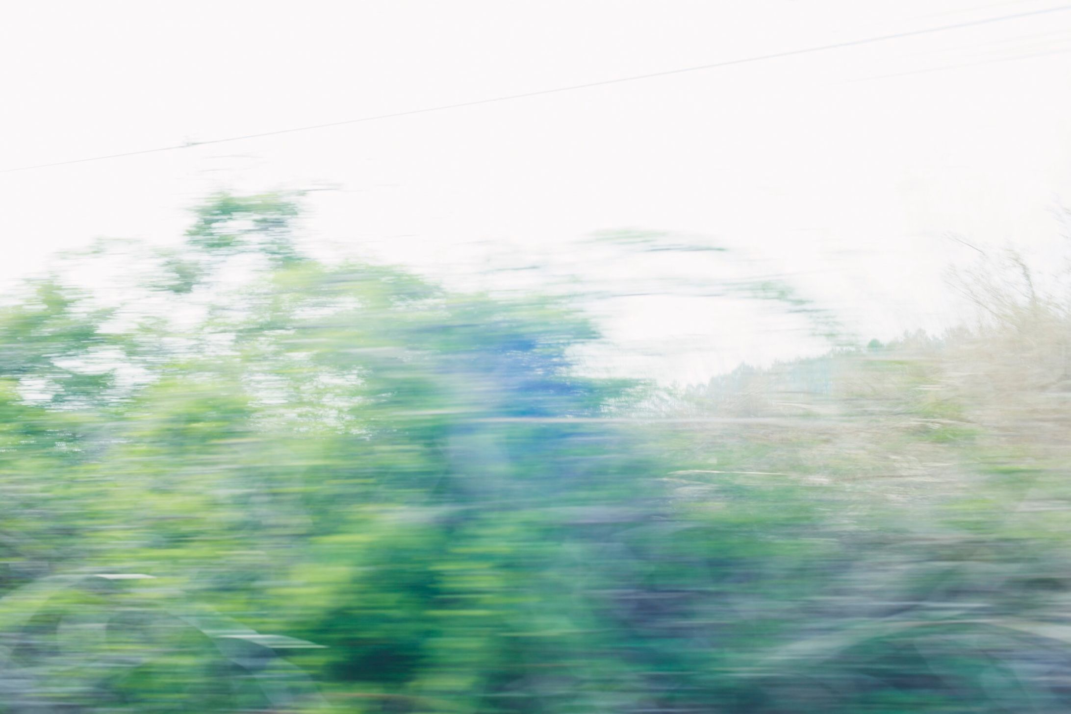 Life-1