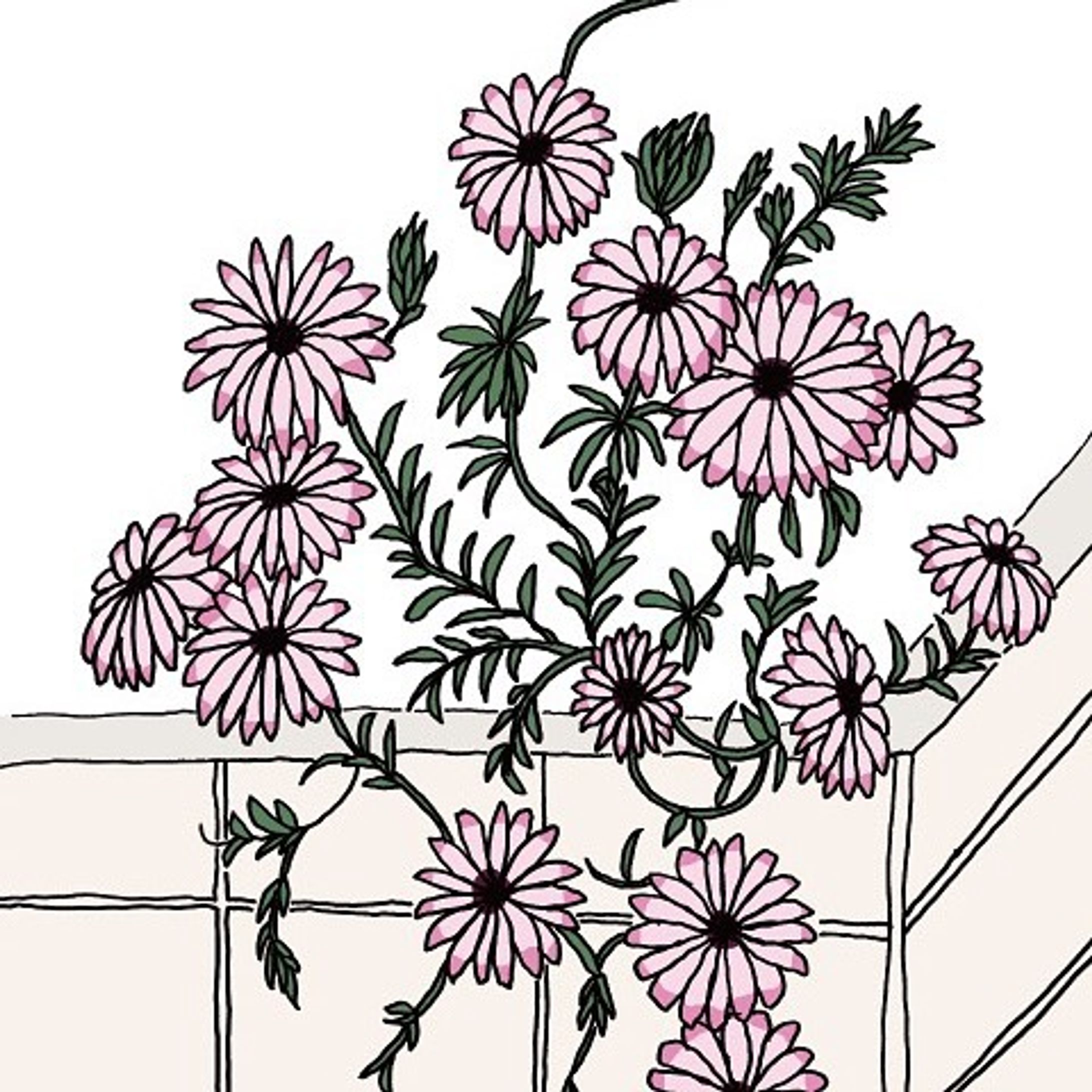 roadside flower

Be sure to check out the full size illustrations on the website.
..
#illustration #drawing #linedrawing #landscape-1