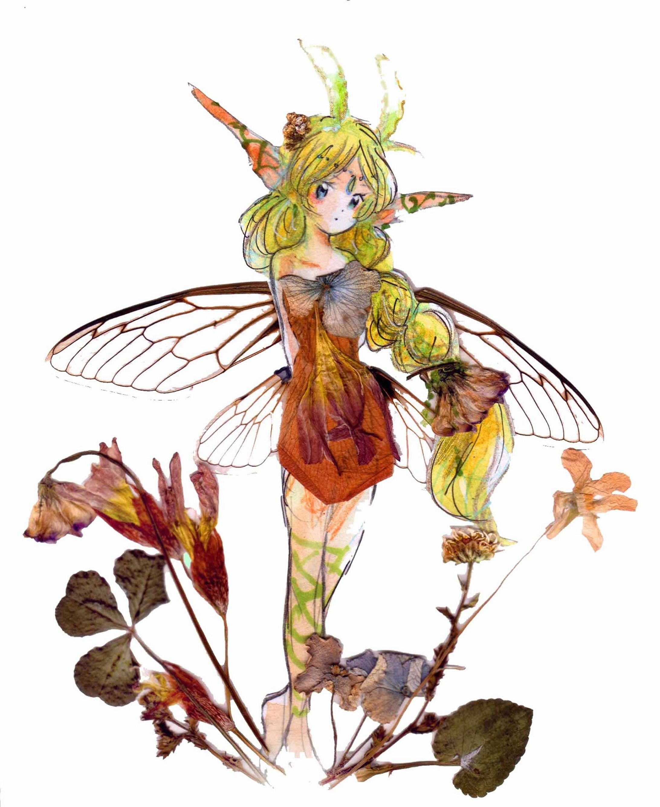 PlantFairy-1