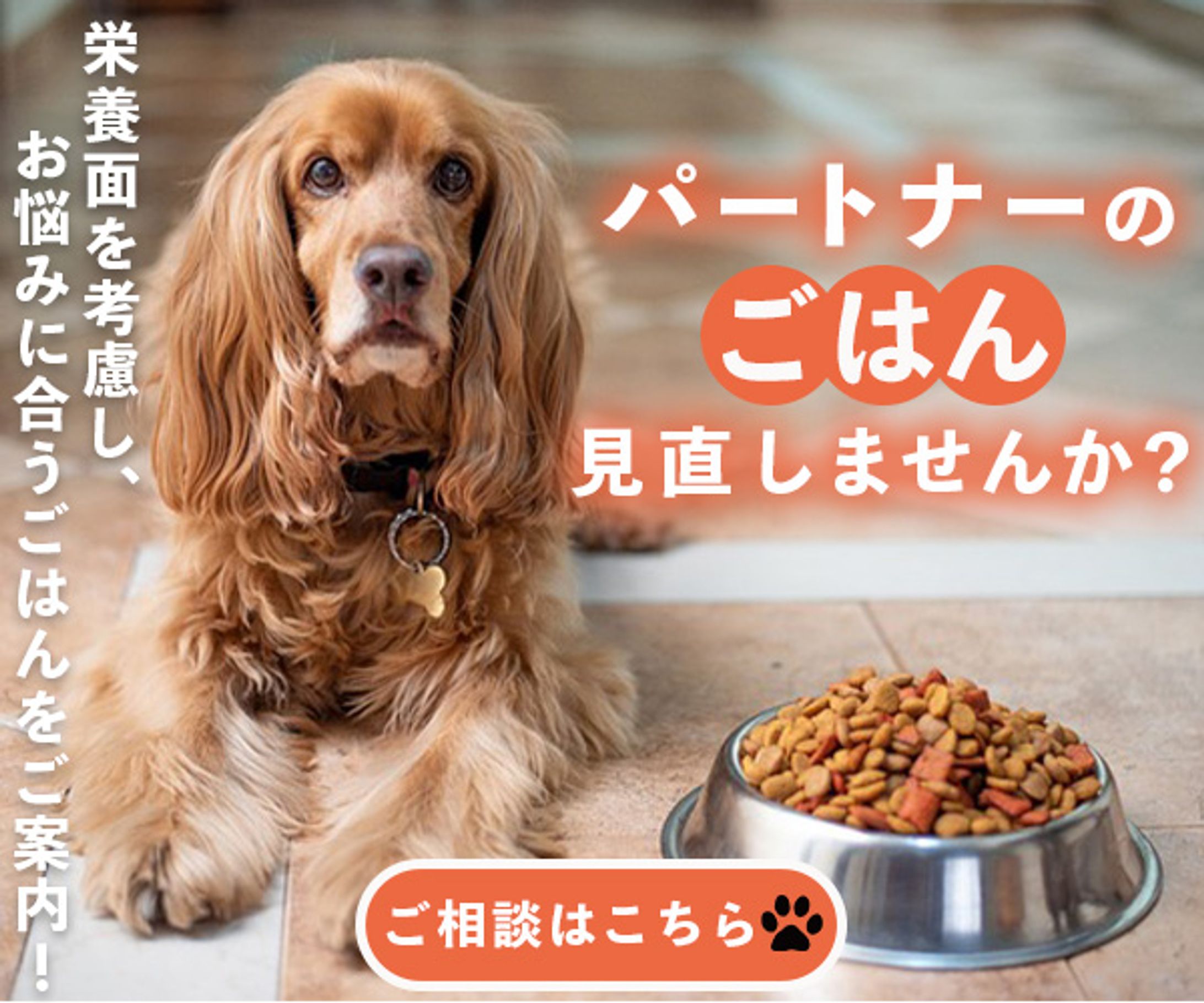 ペットフード提案バナー(架空)-1