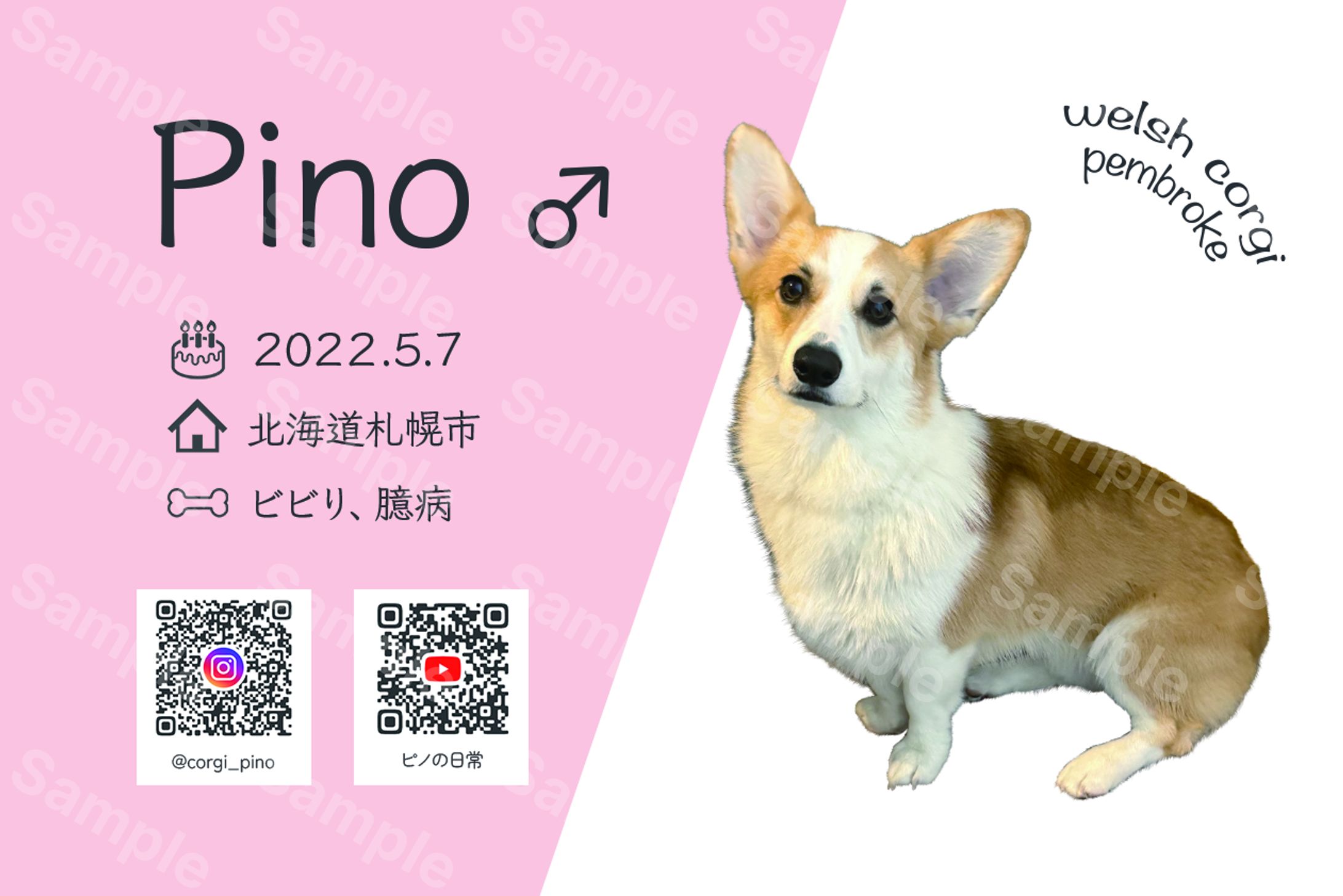 名刺-1