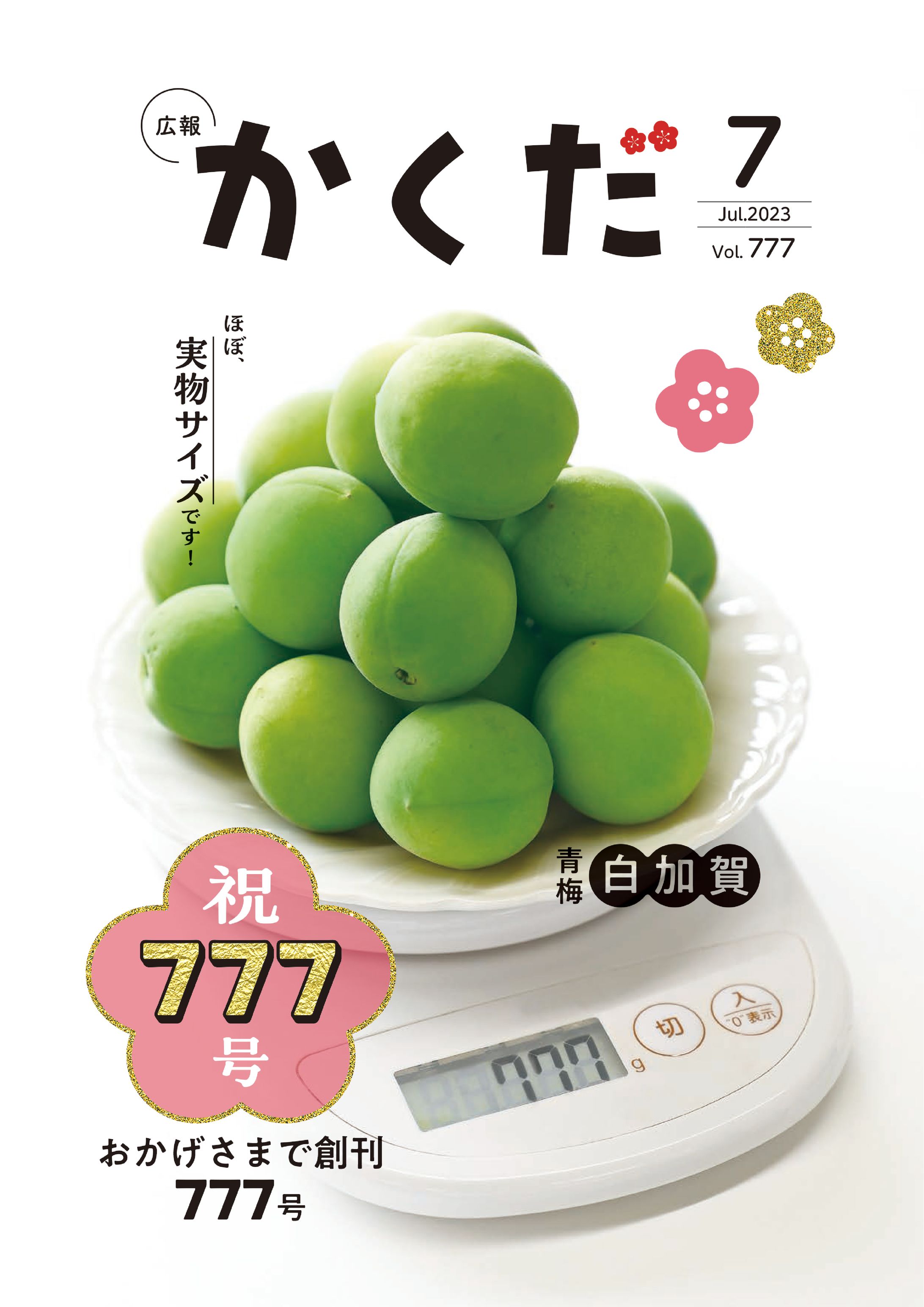 広報かくだ７月号-1
