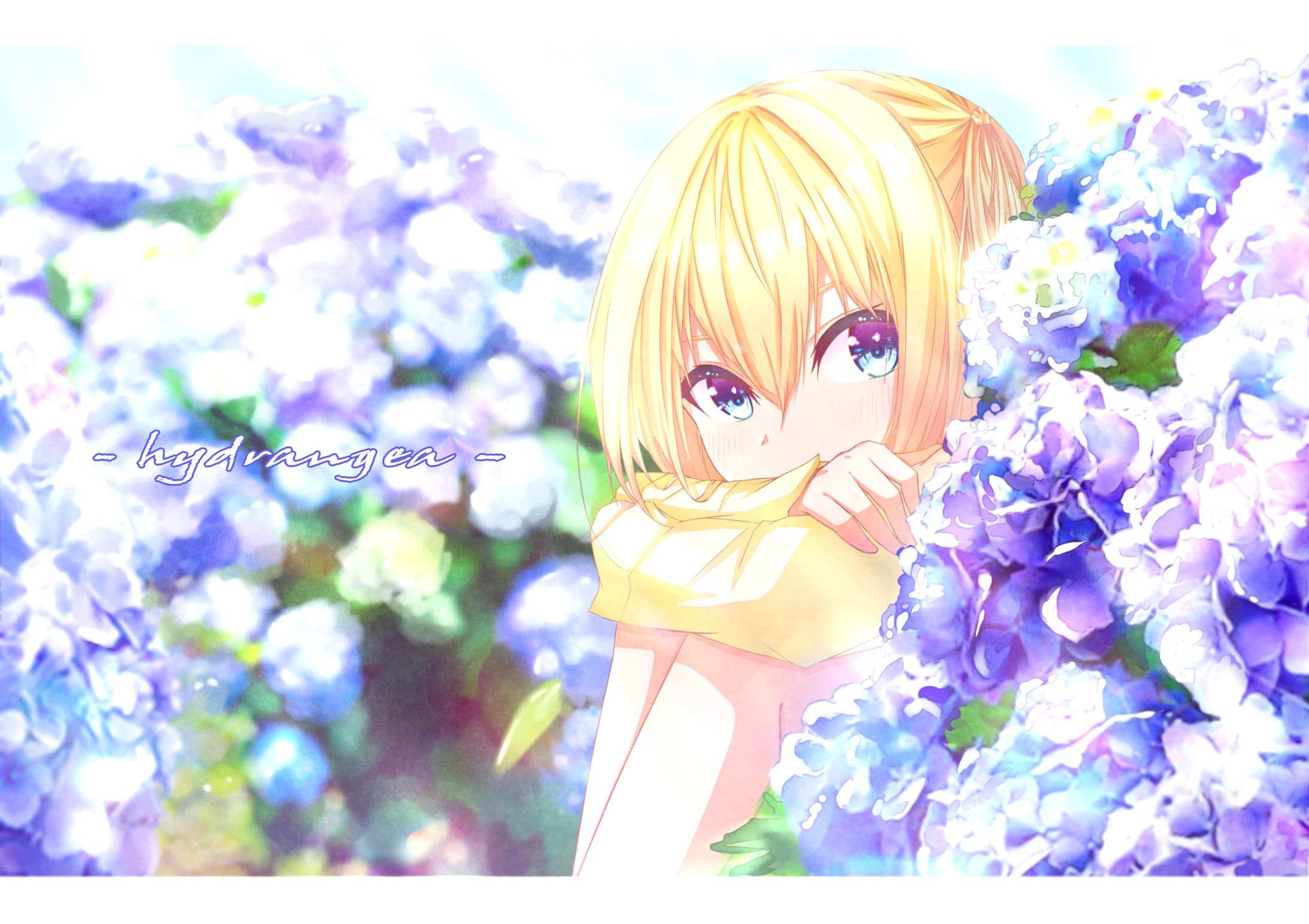 紫陽花-1