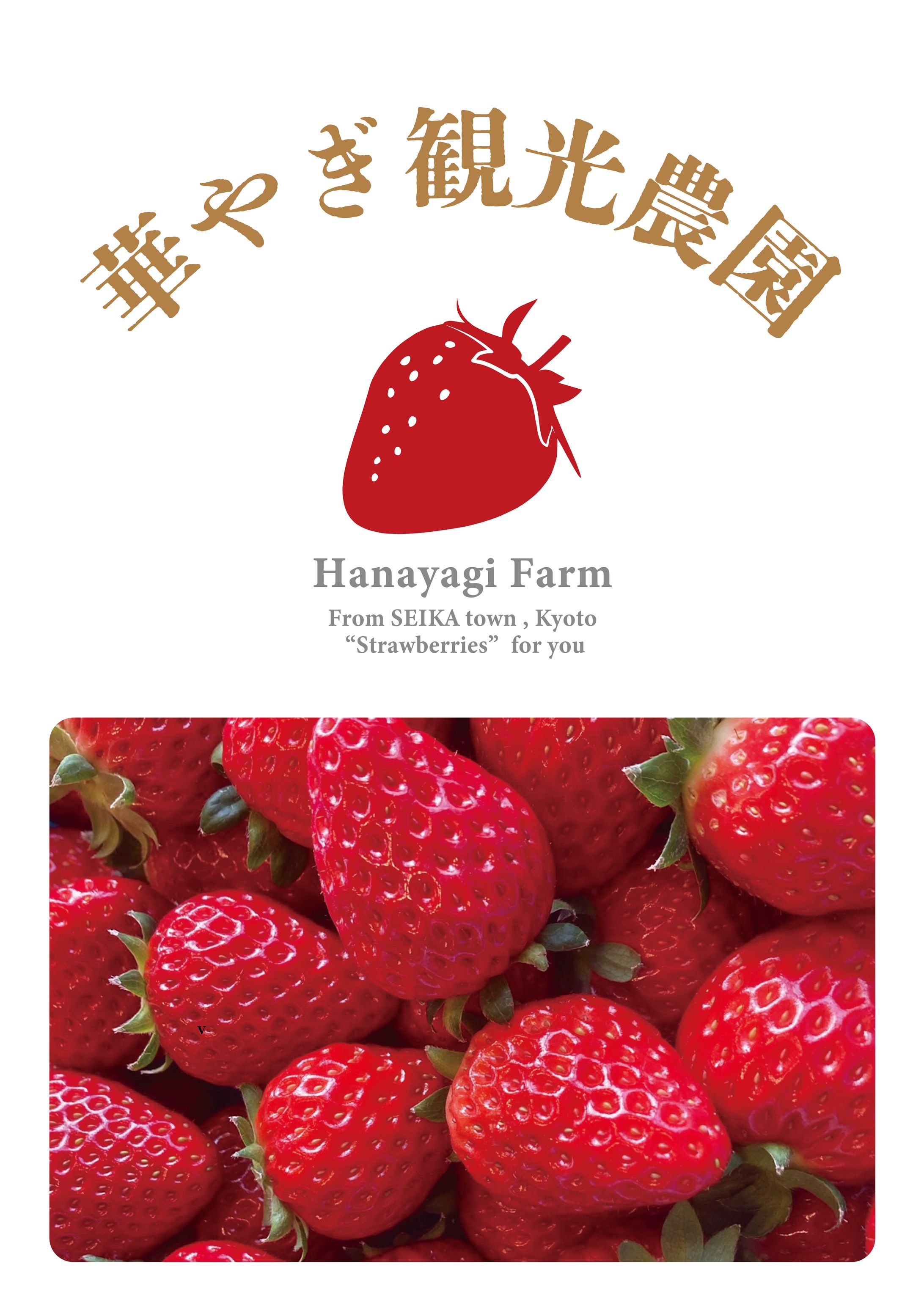 poster_A1_hanayagifarm-1