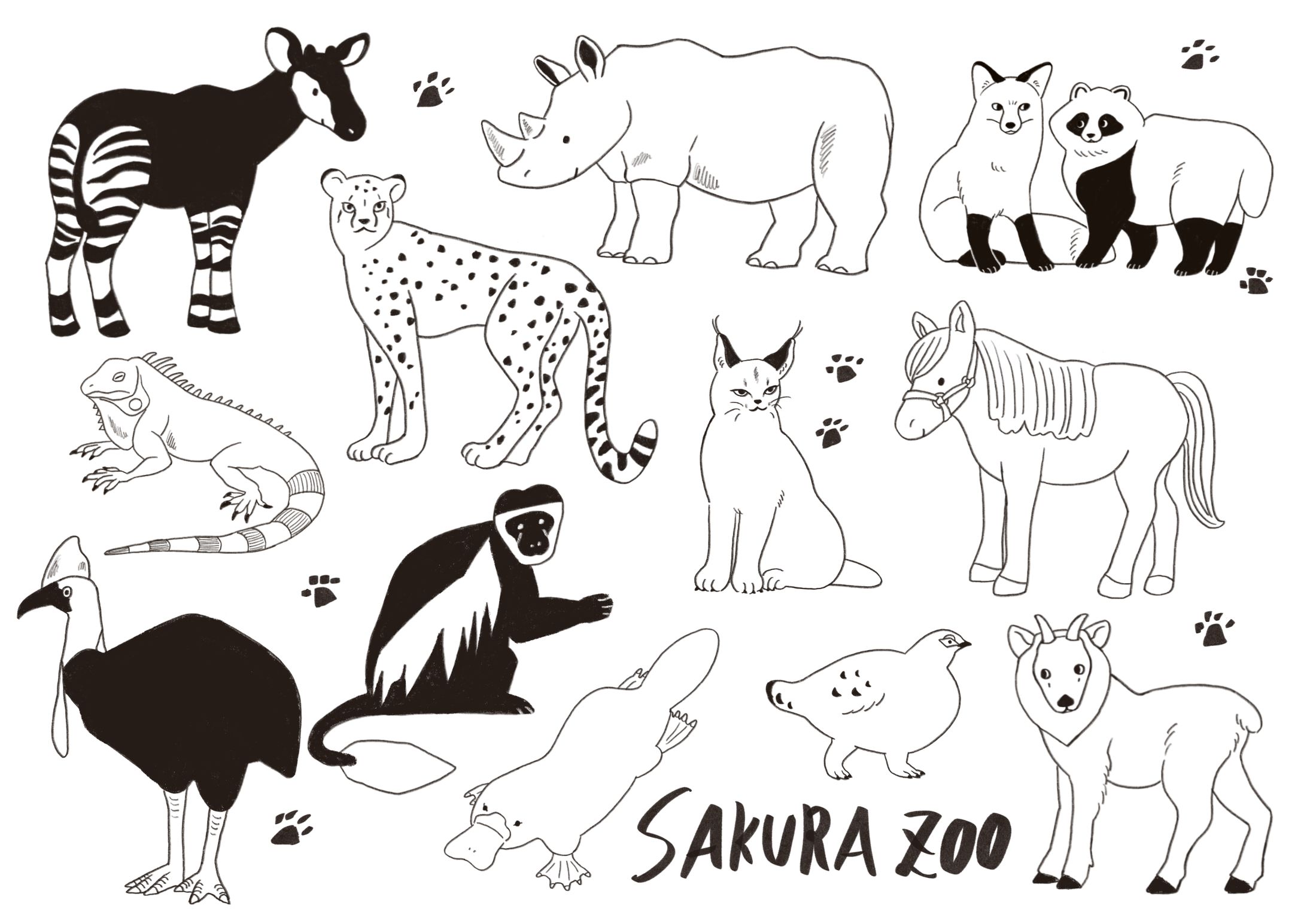 動物線画イラスト-1