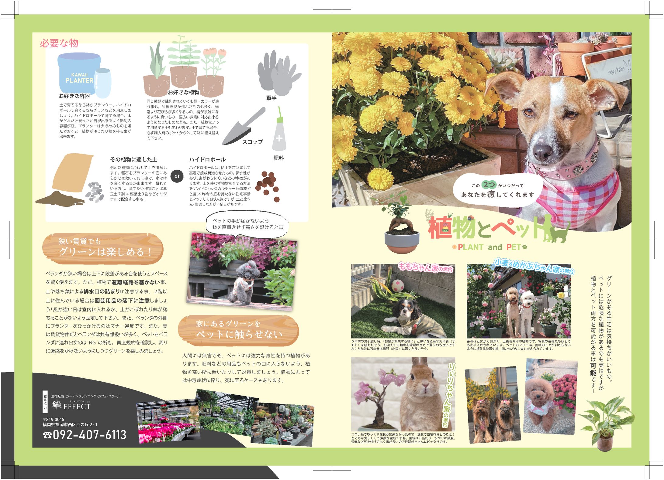 雑誌掲載ページ_植物とペット-1