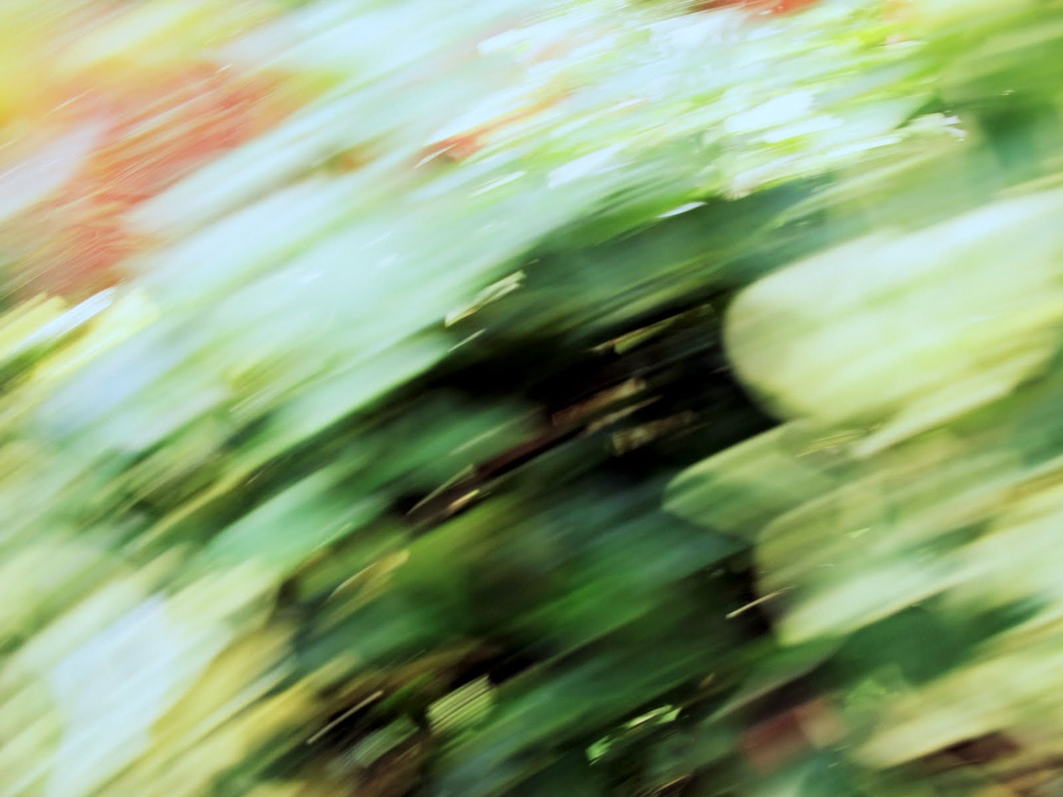 for header-1