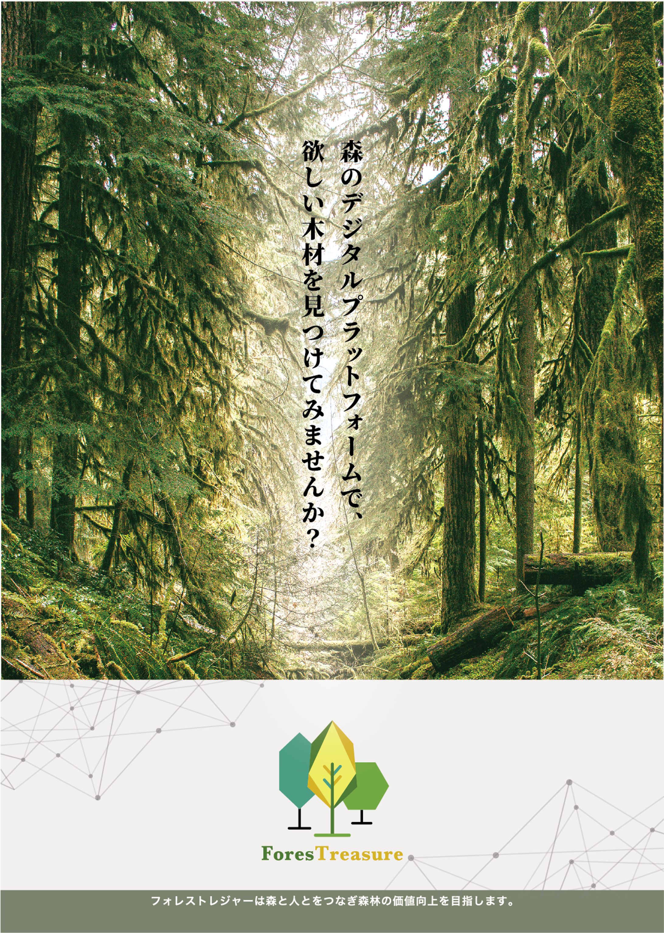 forestreasuer_flyer-1