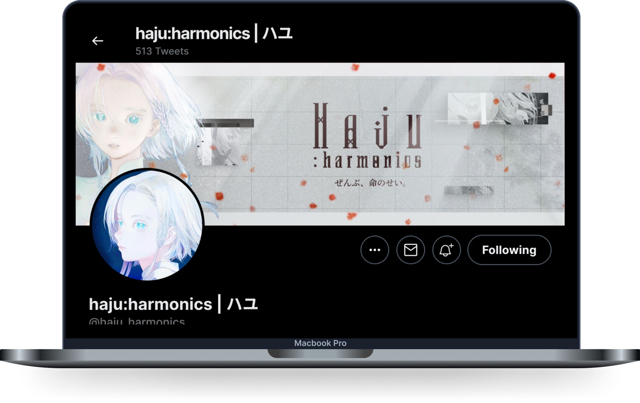 Haju : harmonics Header 2-1