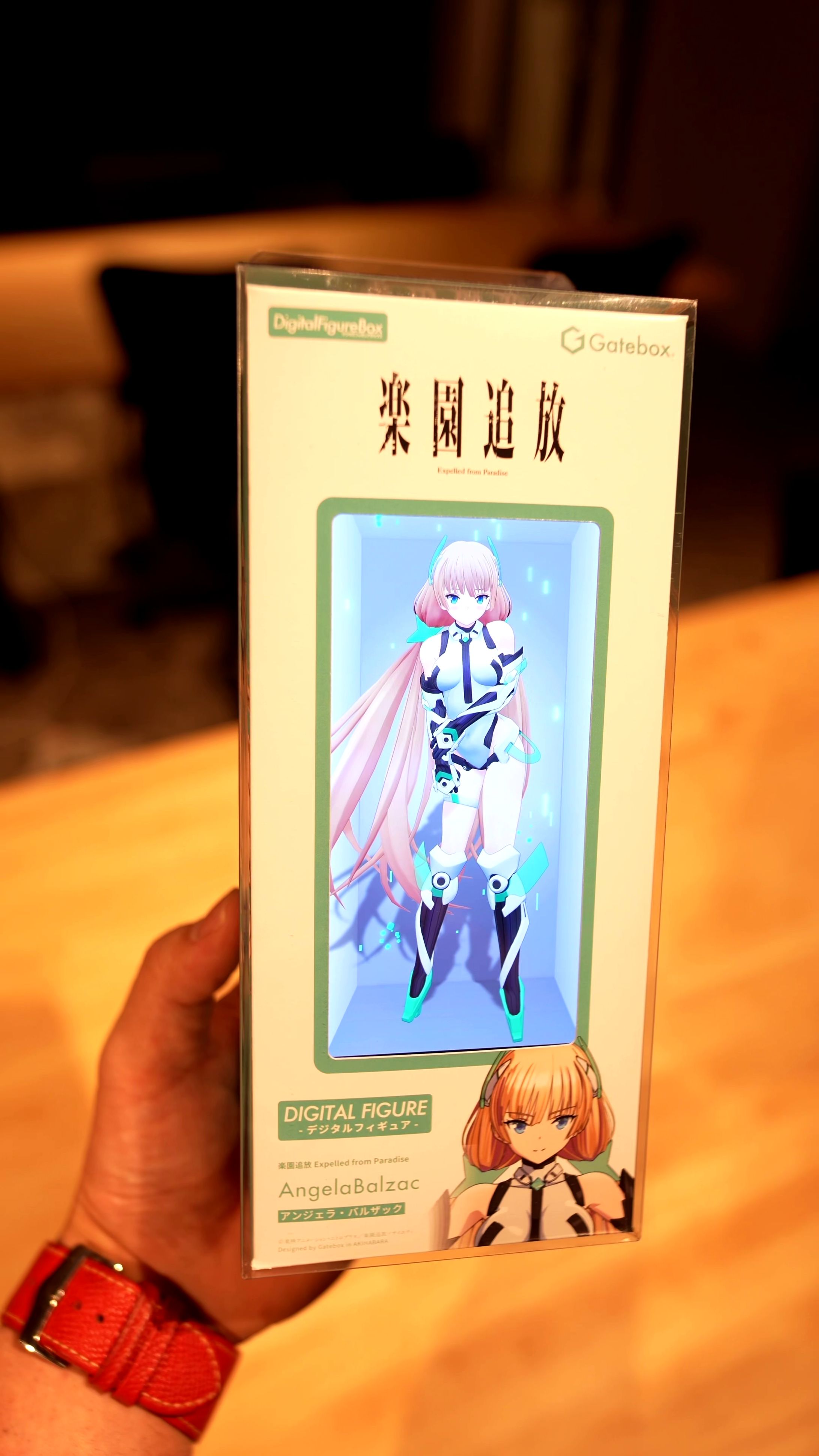 楽園追放ver デジタルフィギュアボックス-1