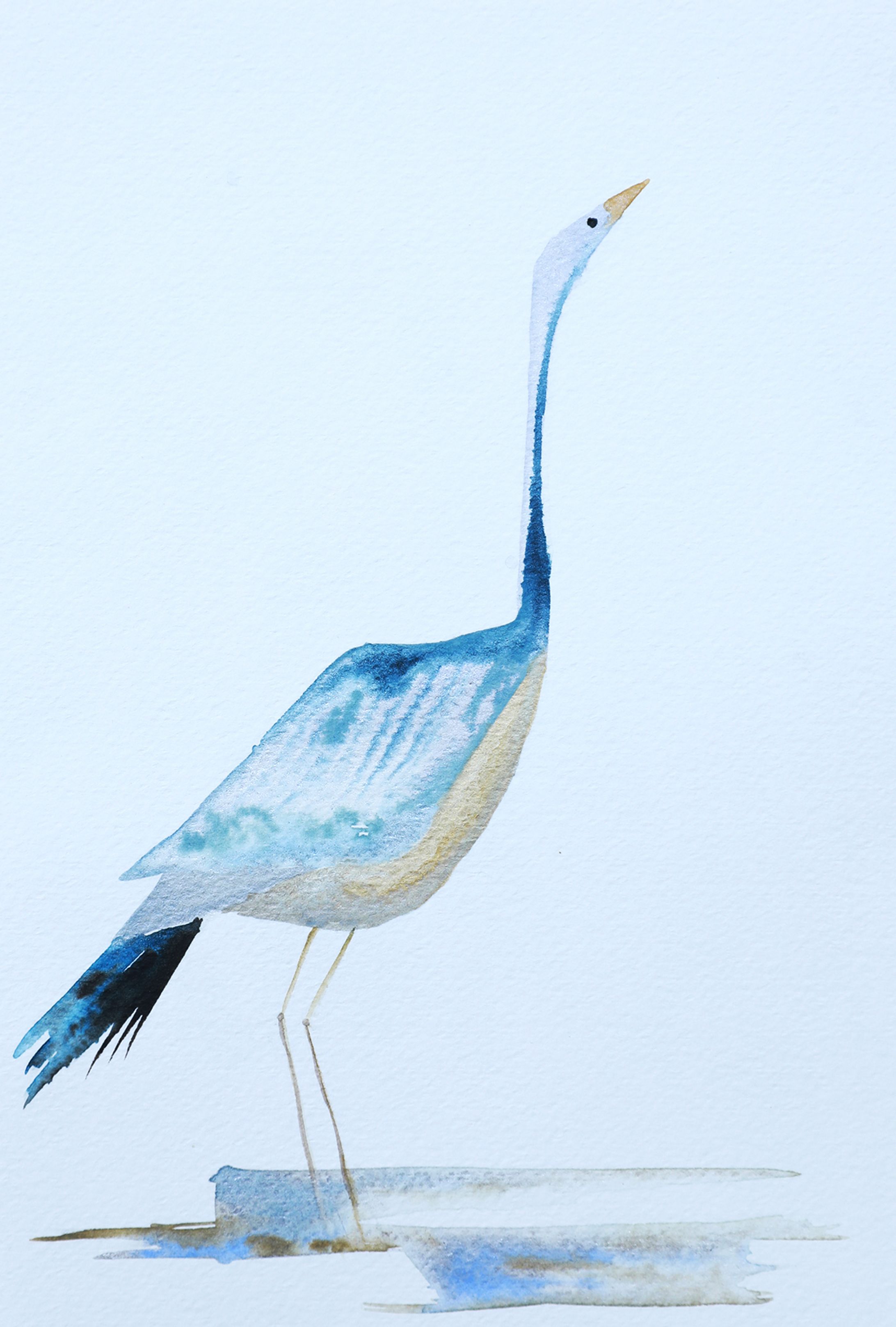 Blue Bird-1