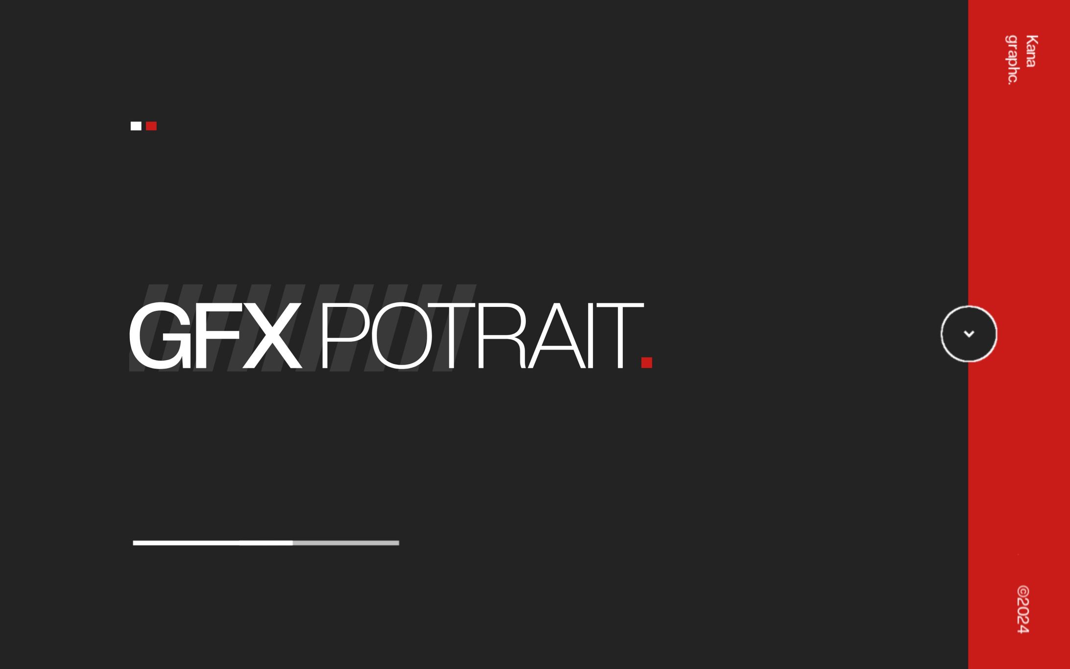 GFX POTRAIT-1