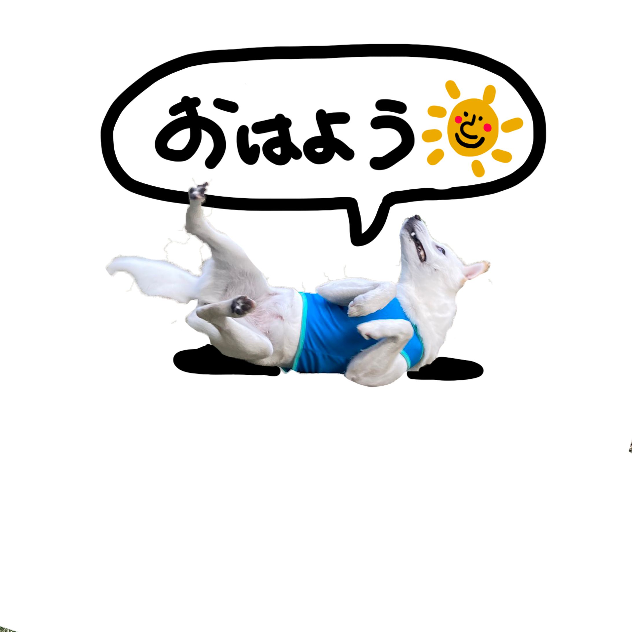 愛犬のラインスタンプ 作成/友人依頼-1
