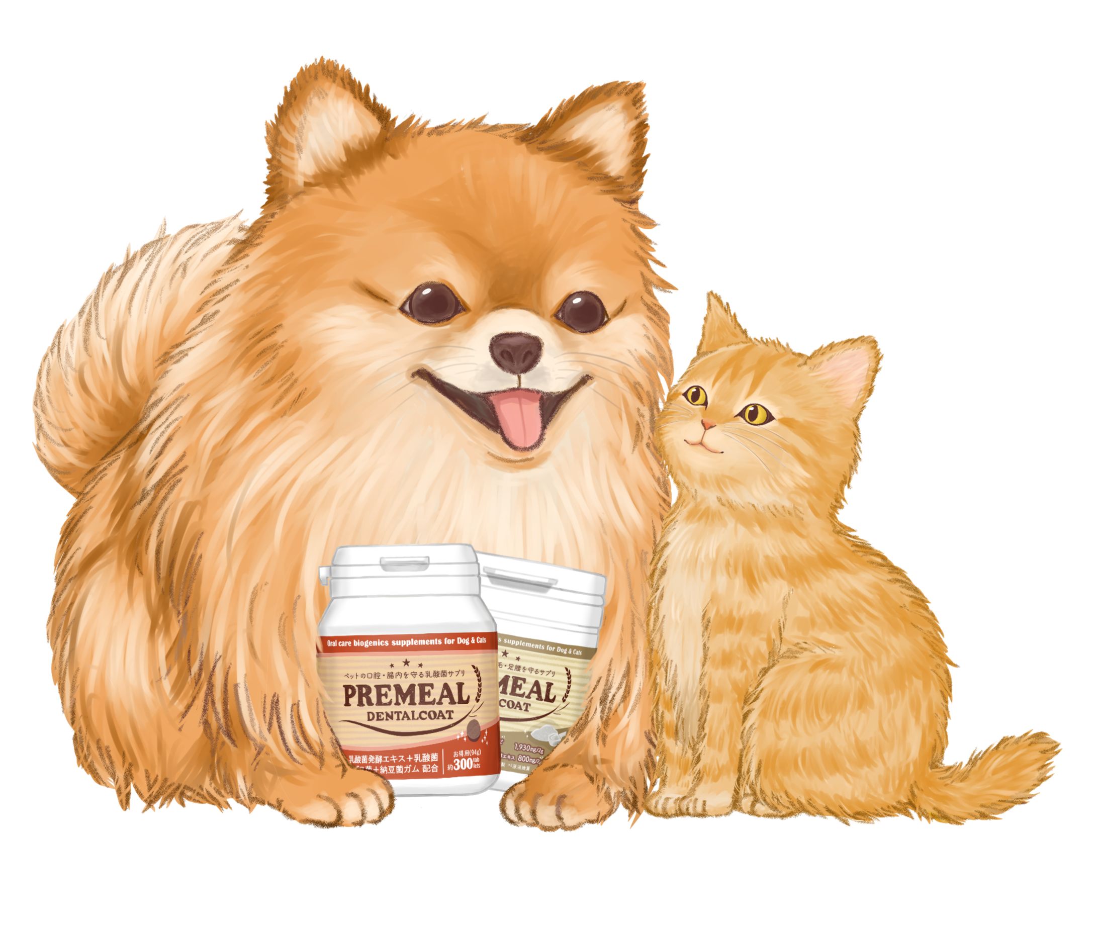 素材（犬猫）-1