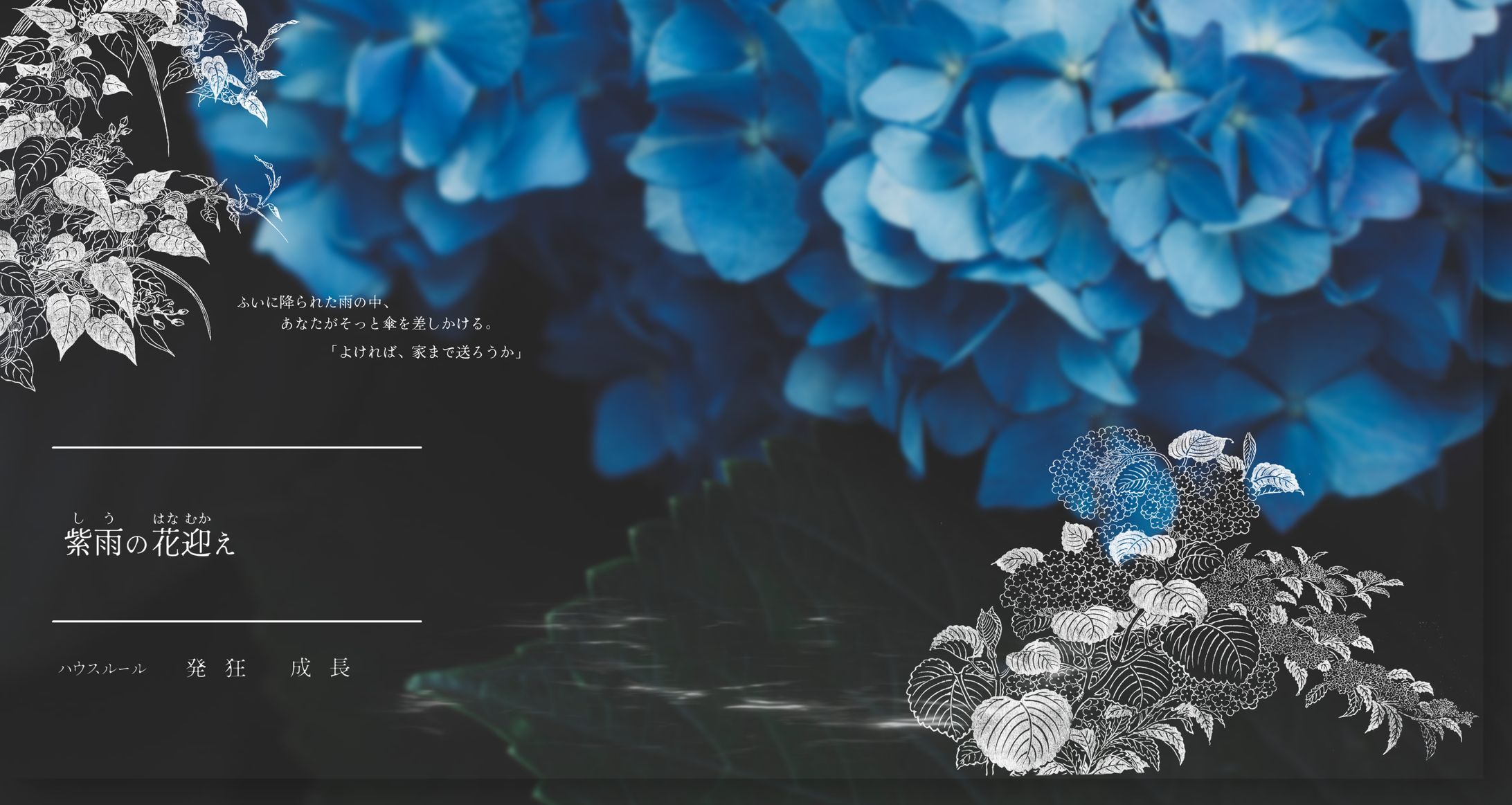 ココフォリア/紫雨の花迎え-1