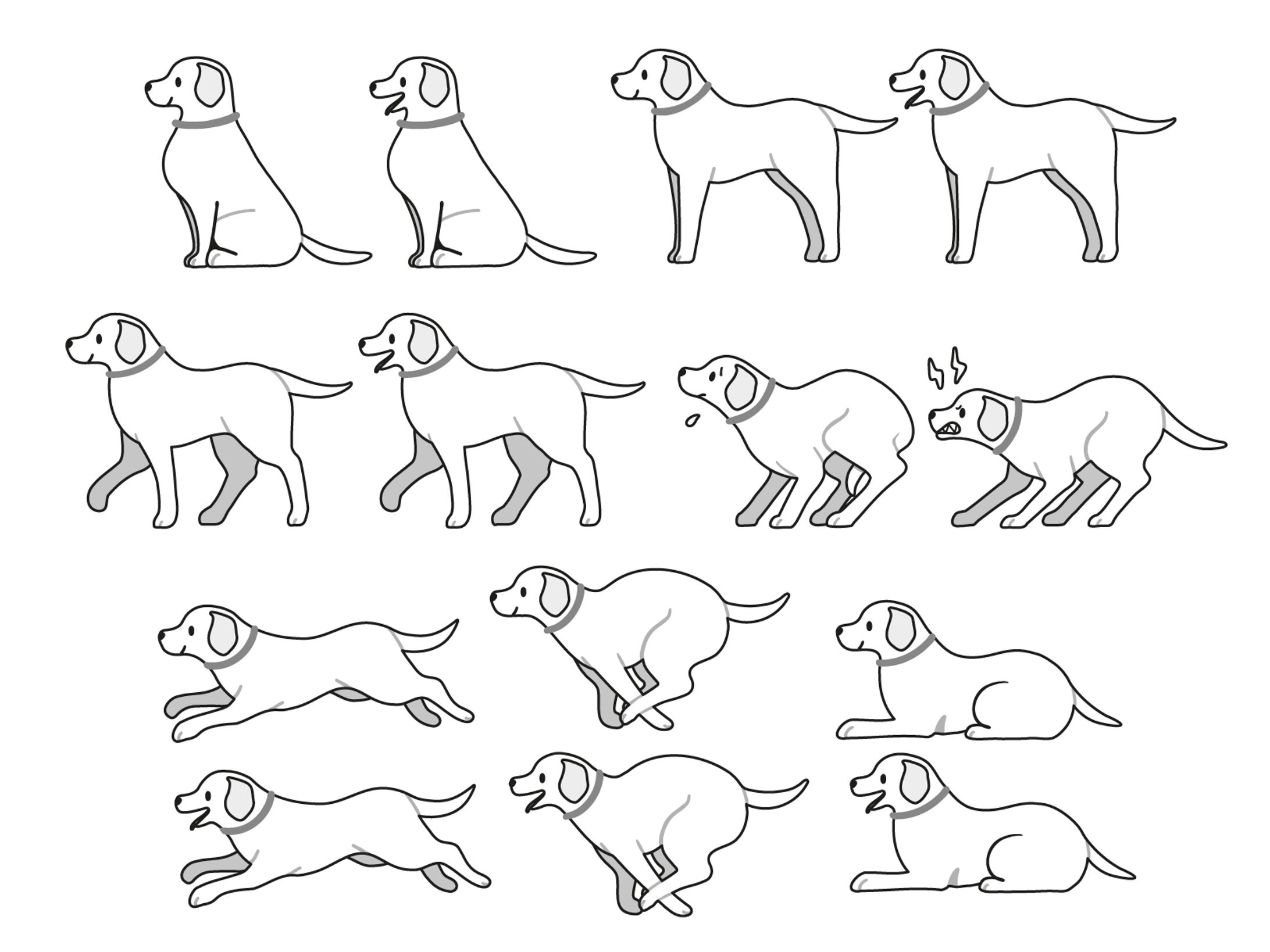 犬のカット-1