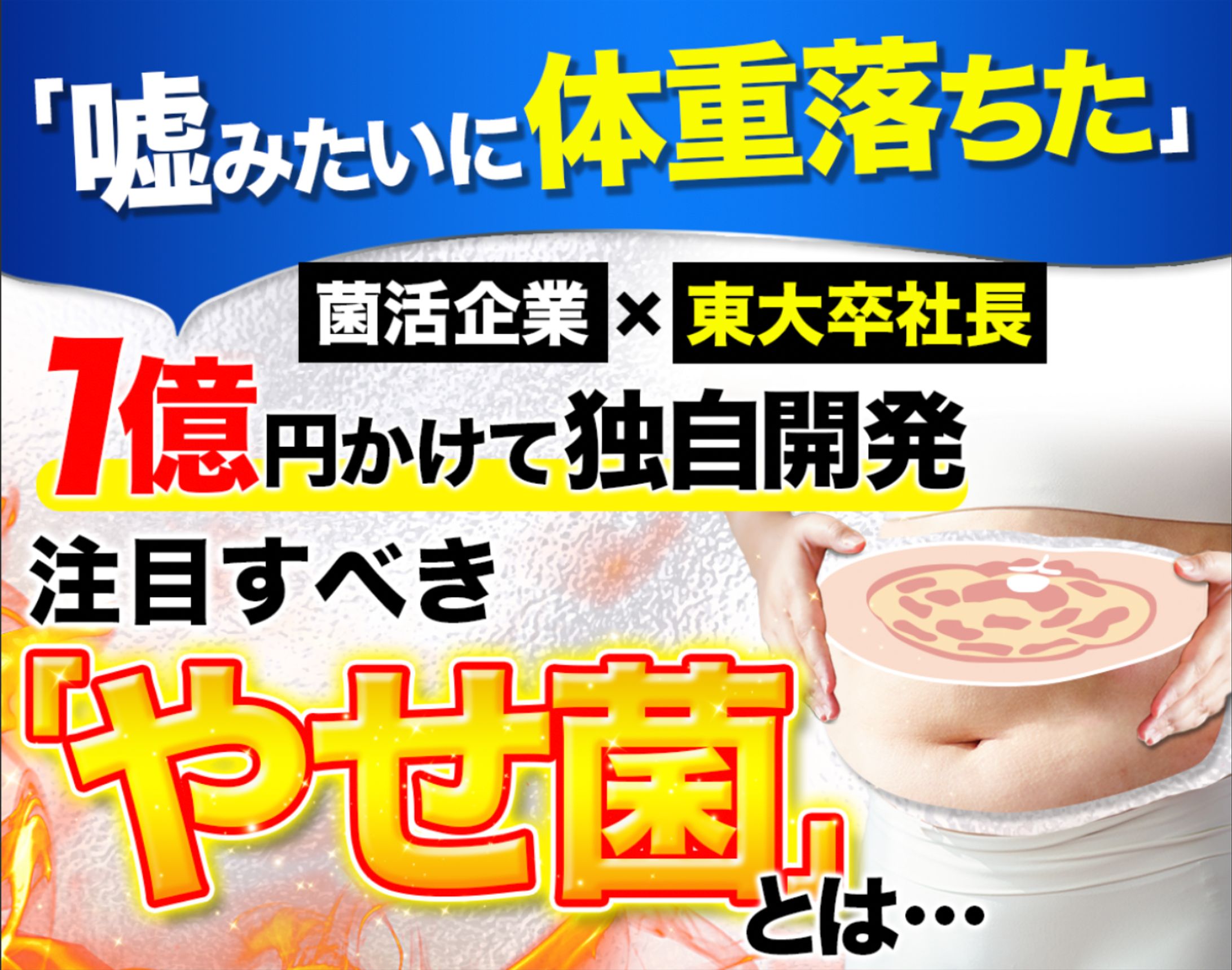 記事FV-1