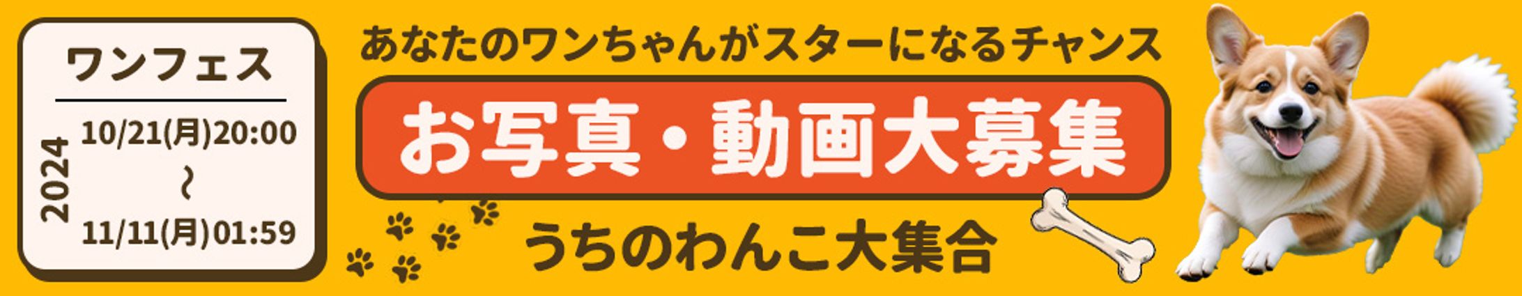 ワンフェス-1