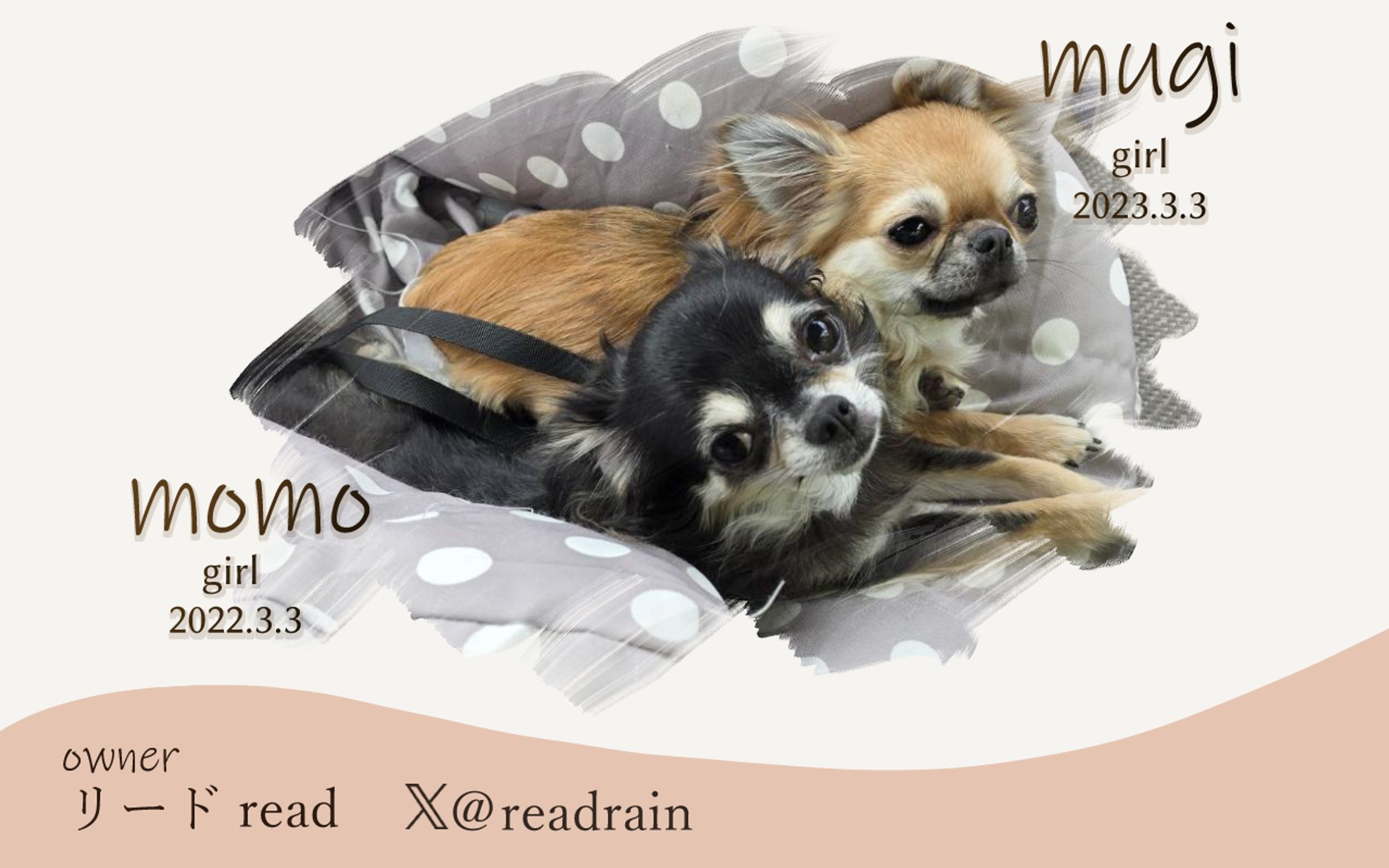 【ご依頼】犬の名刺-1