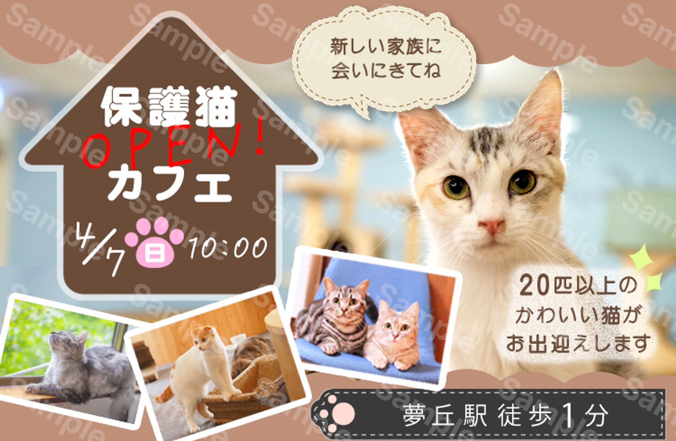 自主制作//猫カフェ-1