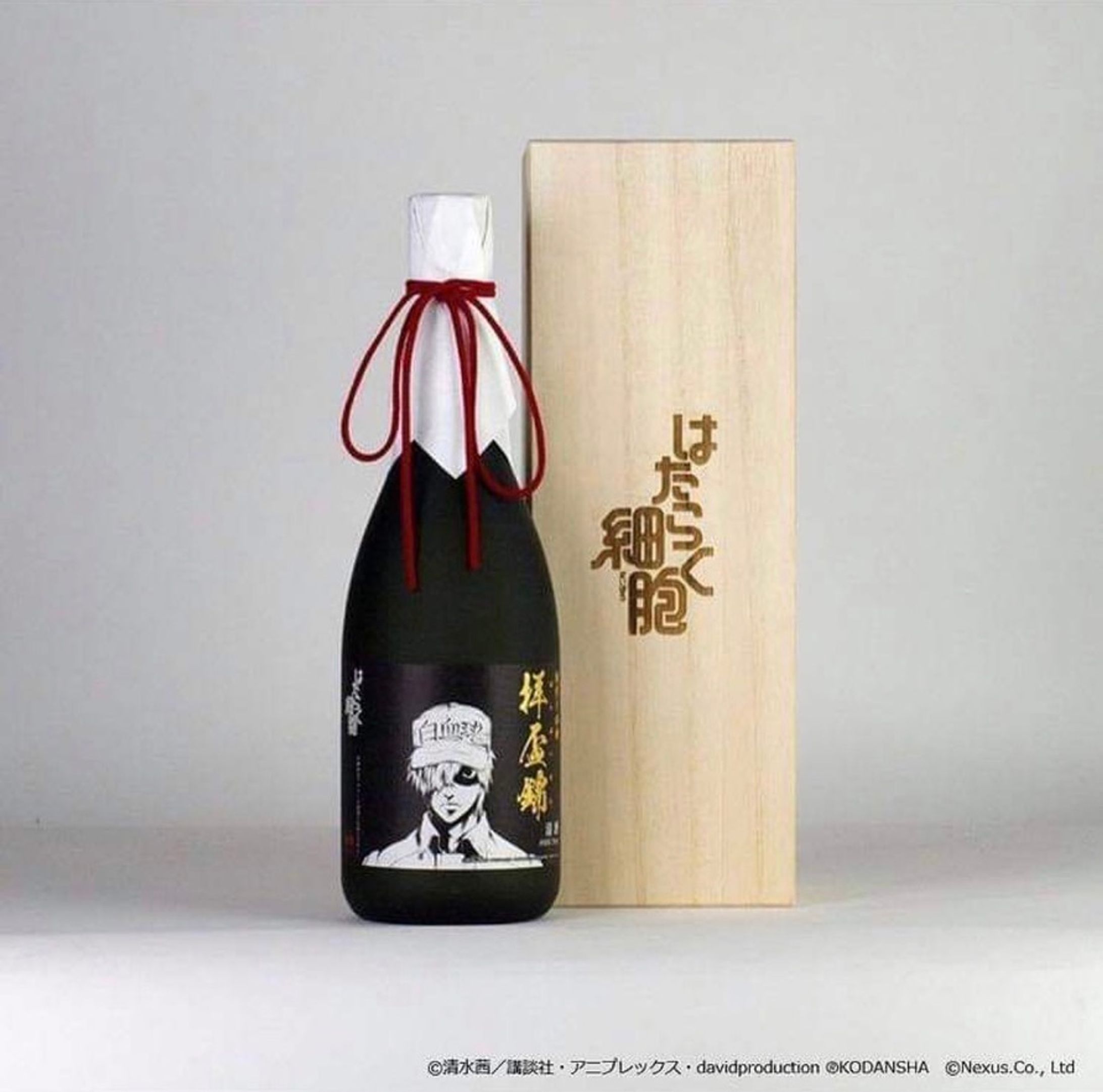 パッケージイラスト『はたらく細胞』コラボ日本酒『純米大吟醸 拝盃錦(ばいばいきん)』-1