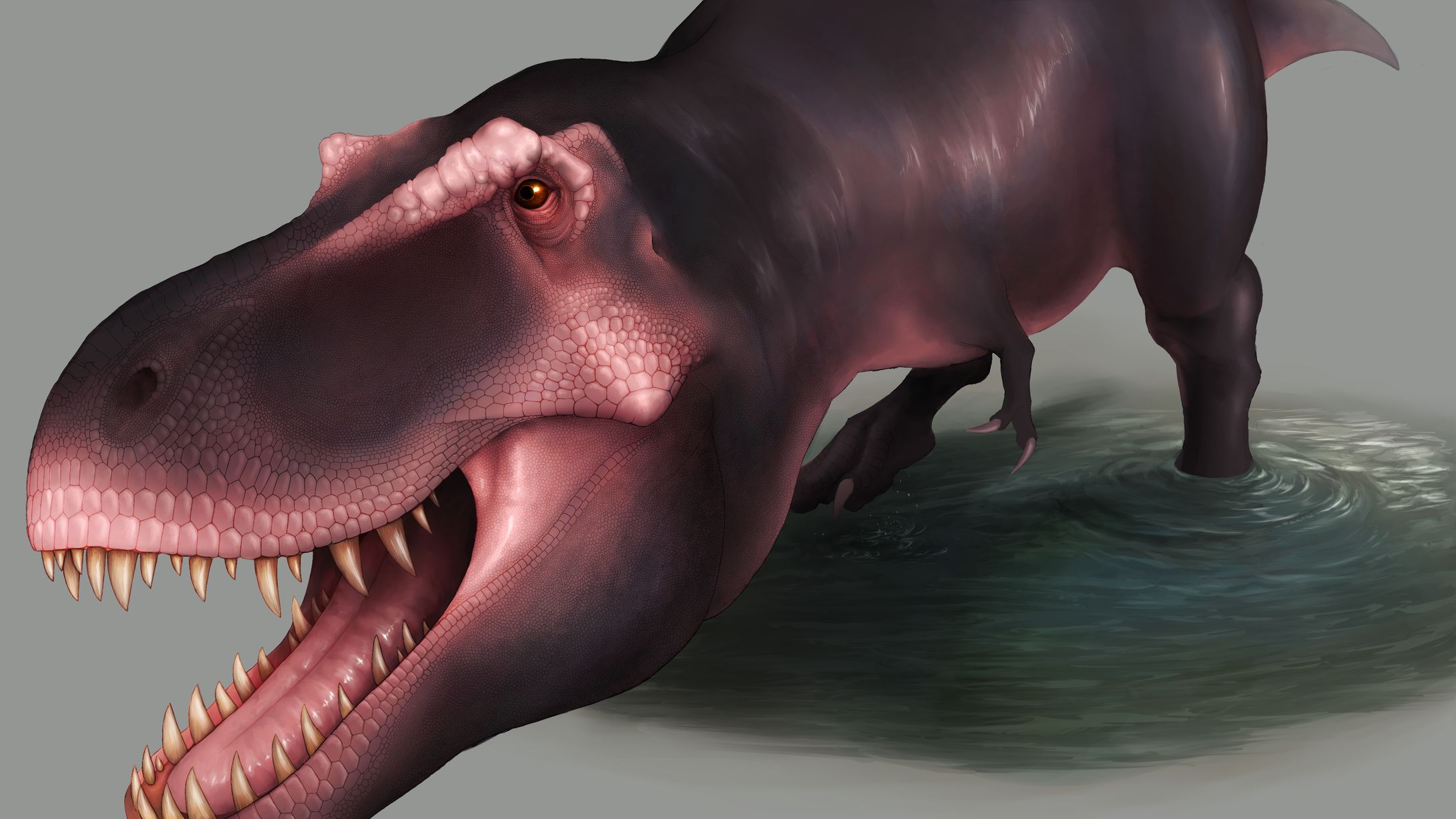 T-REX-1