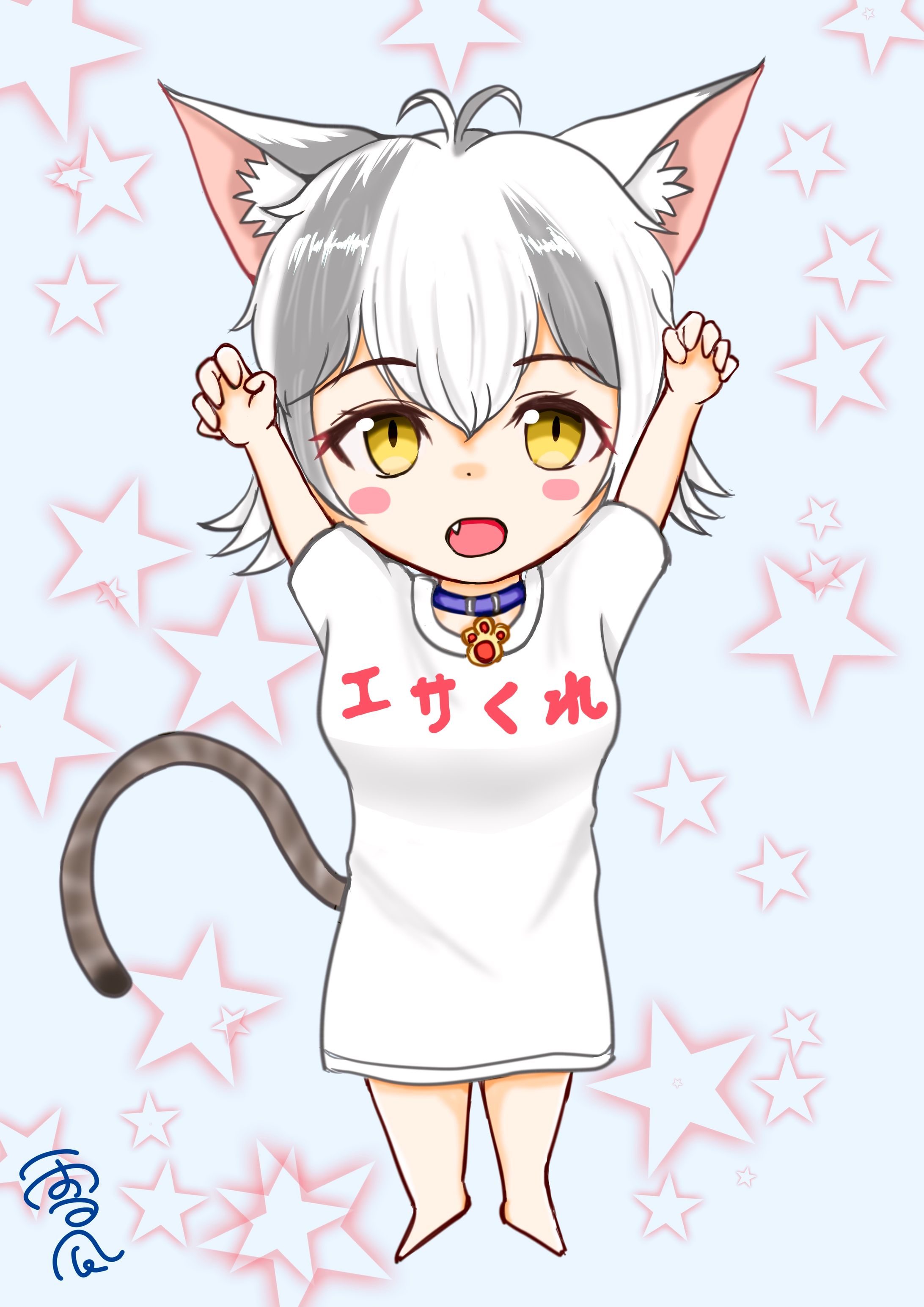 我が家の猫-1