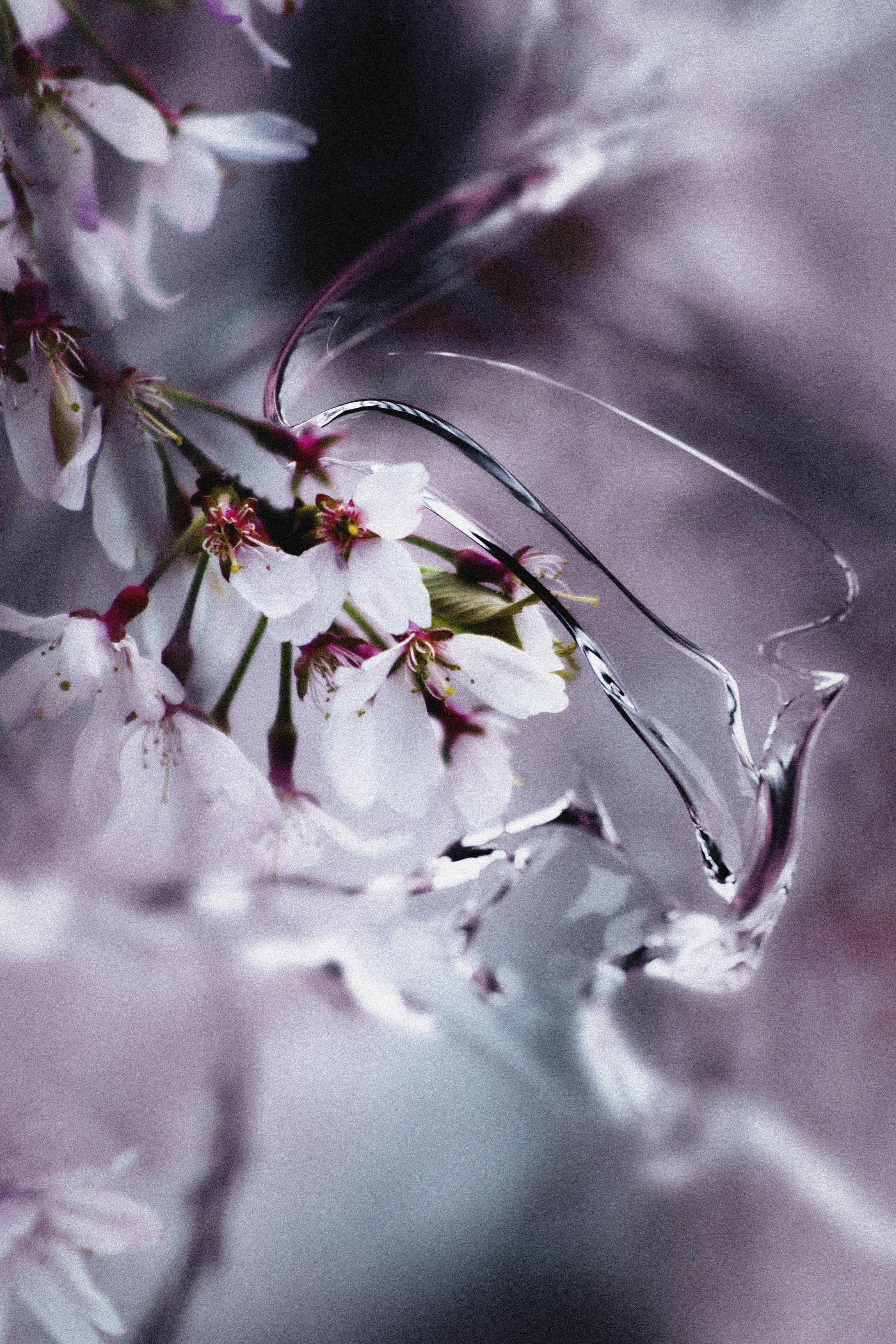 落花流水-1