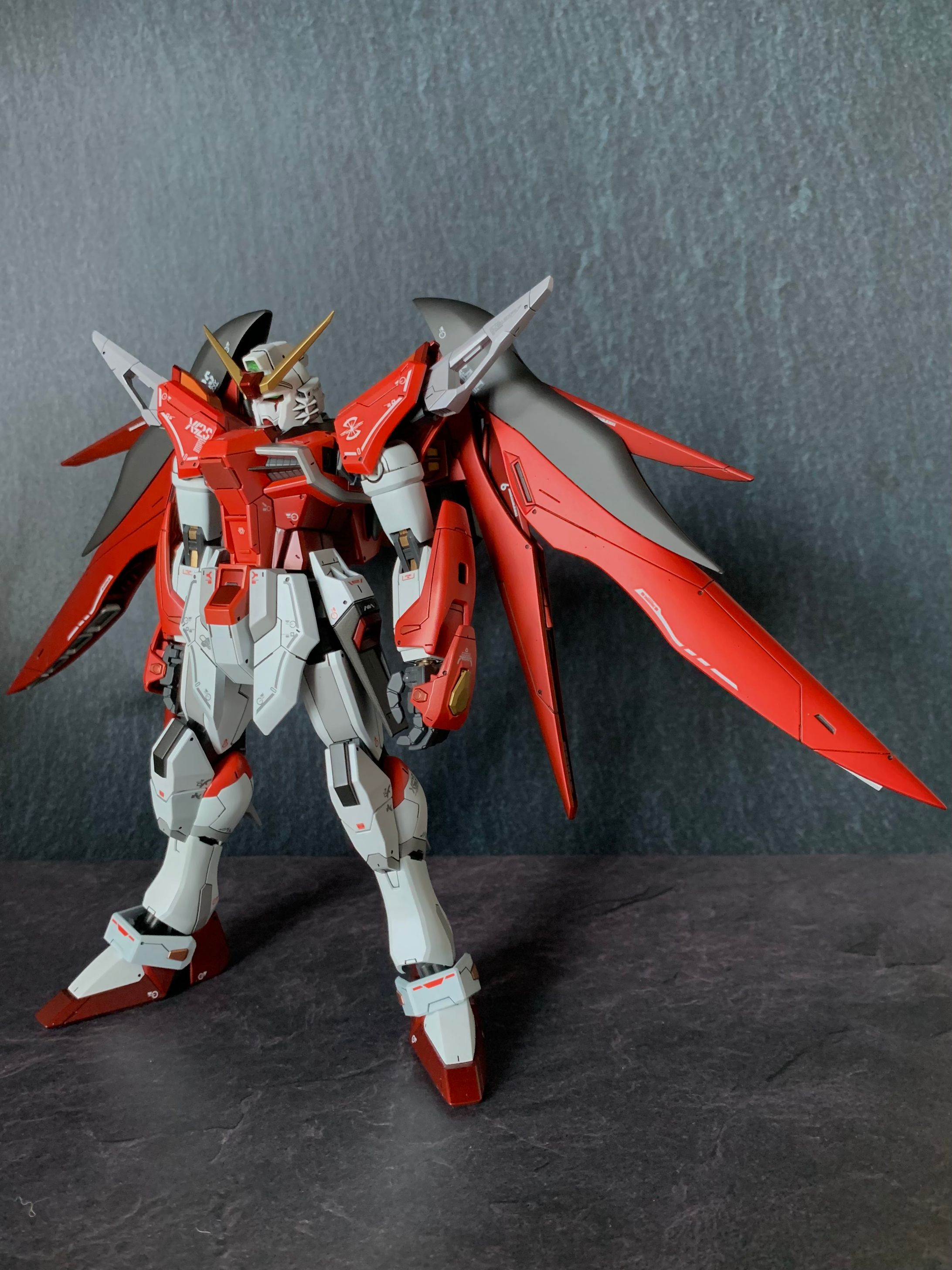MG 1/100 デスティニーガンダム(ハイネ専用機)-1