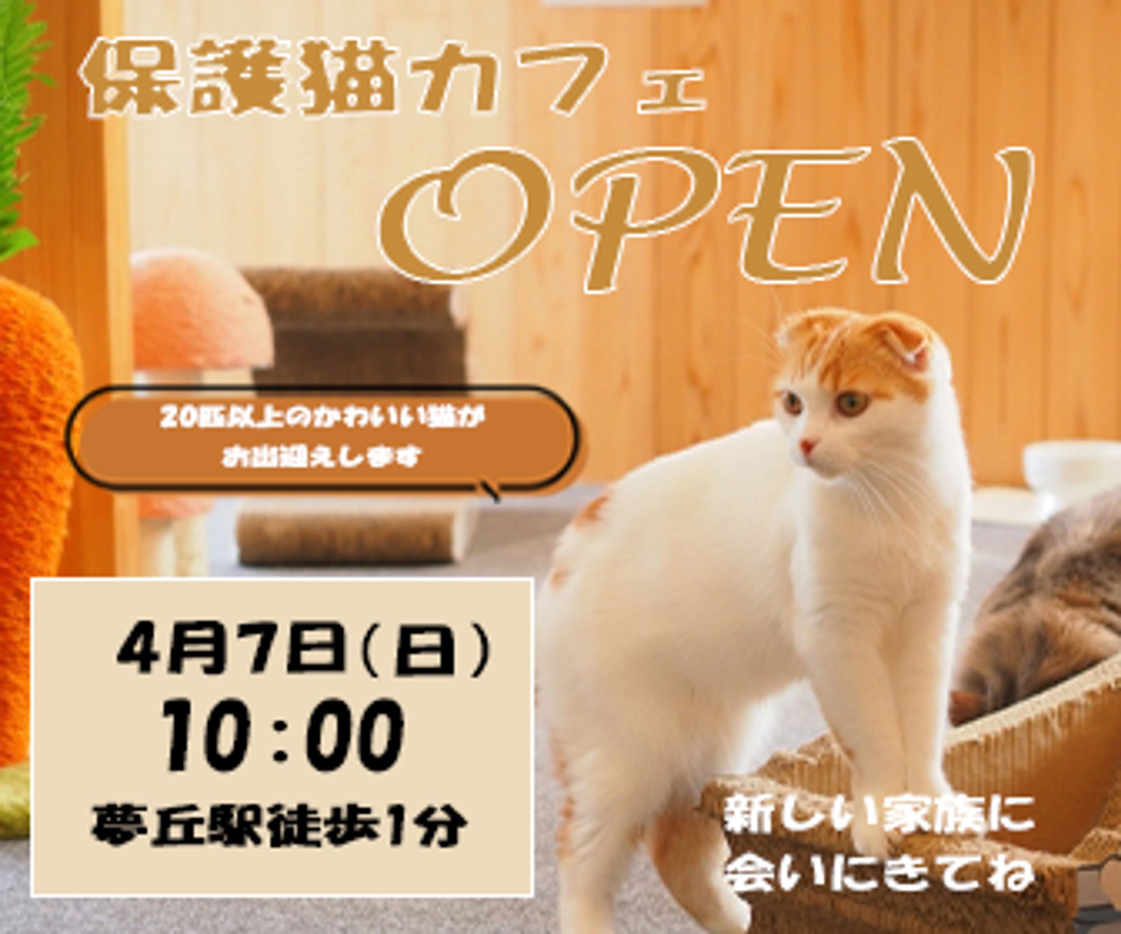 【自主制作】猫カフェバナー-1
