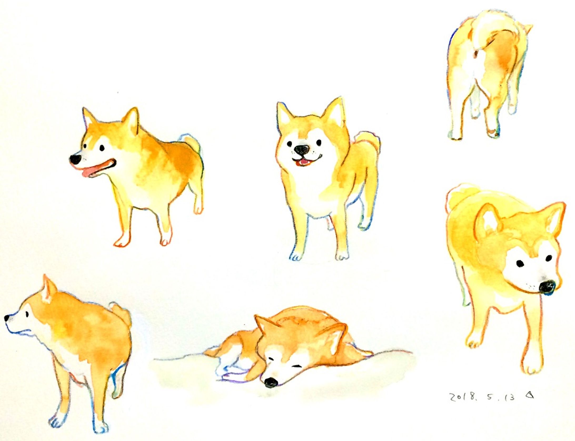 柴犬シリーズ-1
