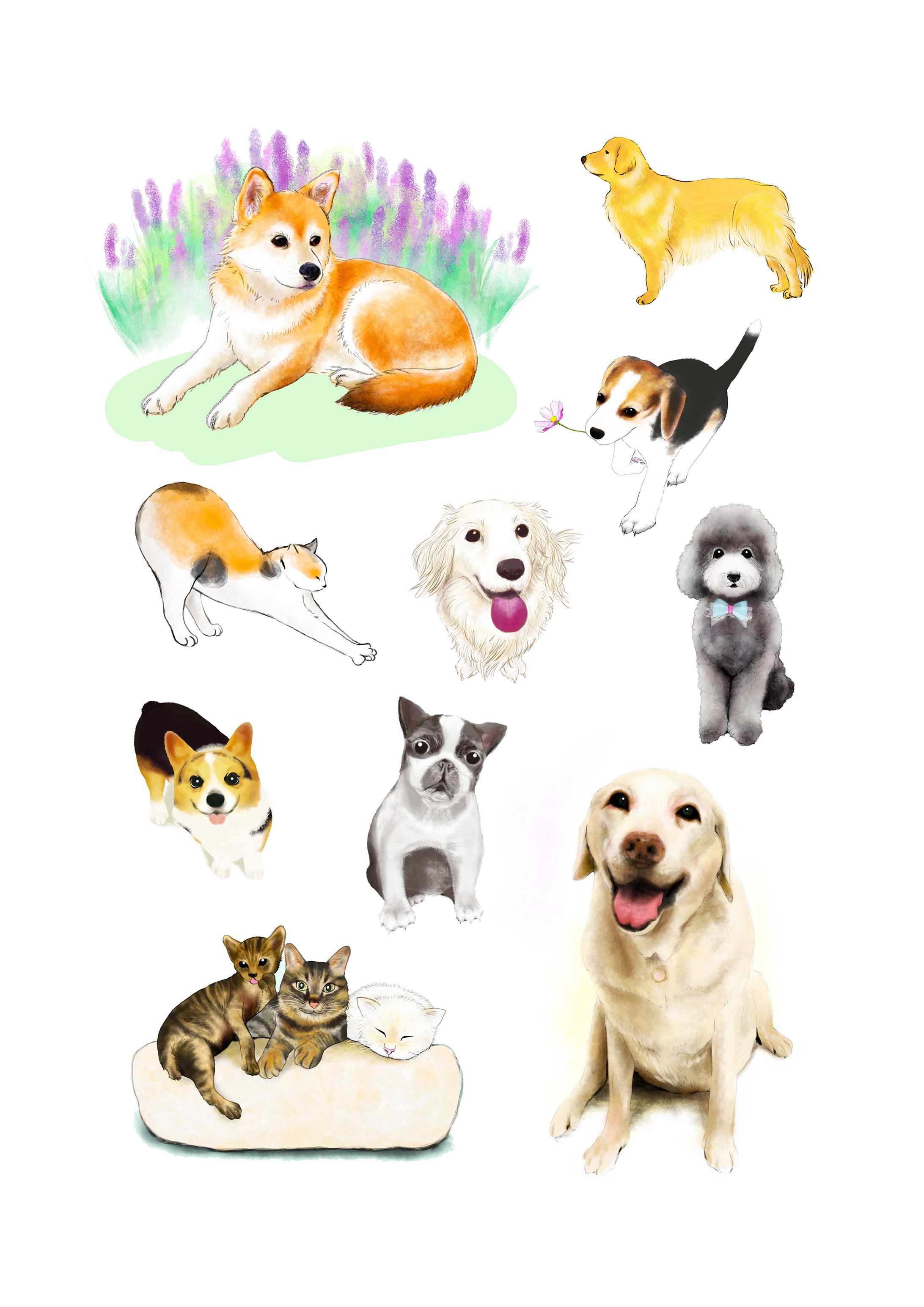 イラスト（動物）-1