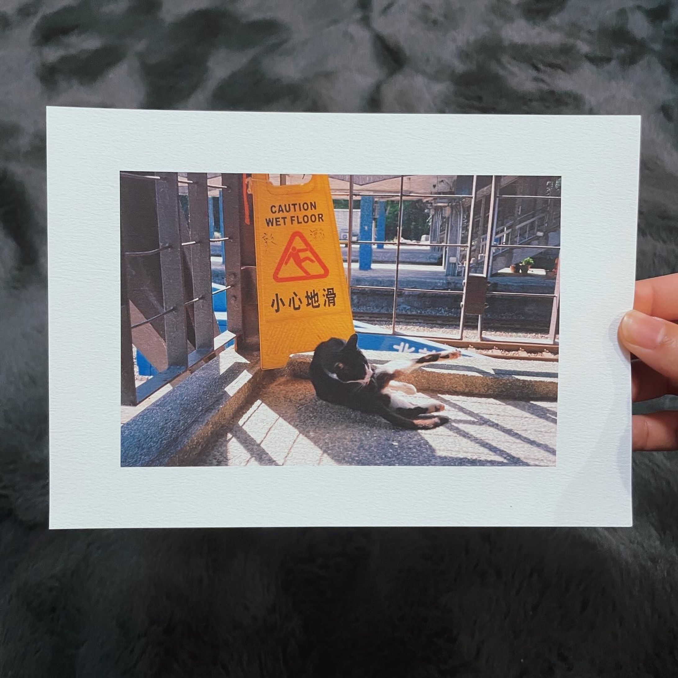 Houtong cat village print 1-1