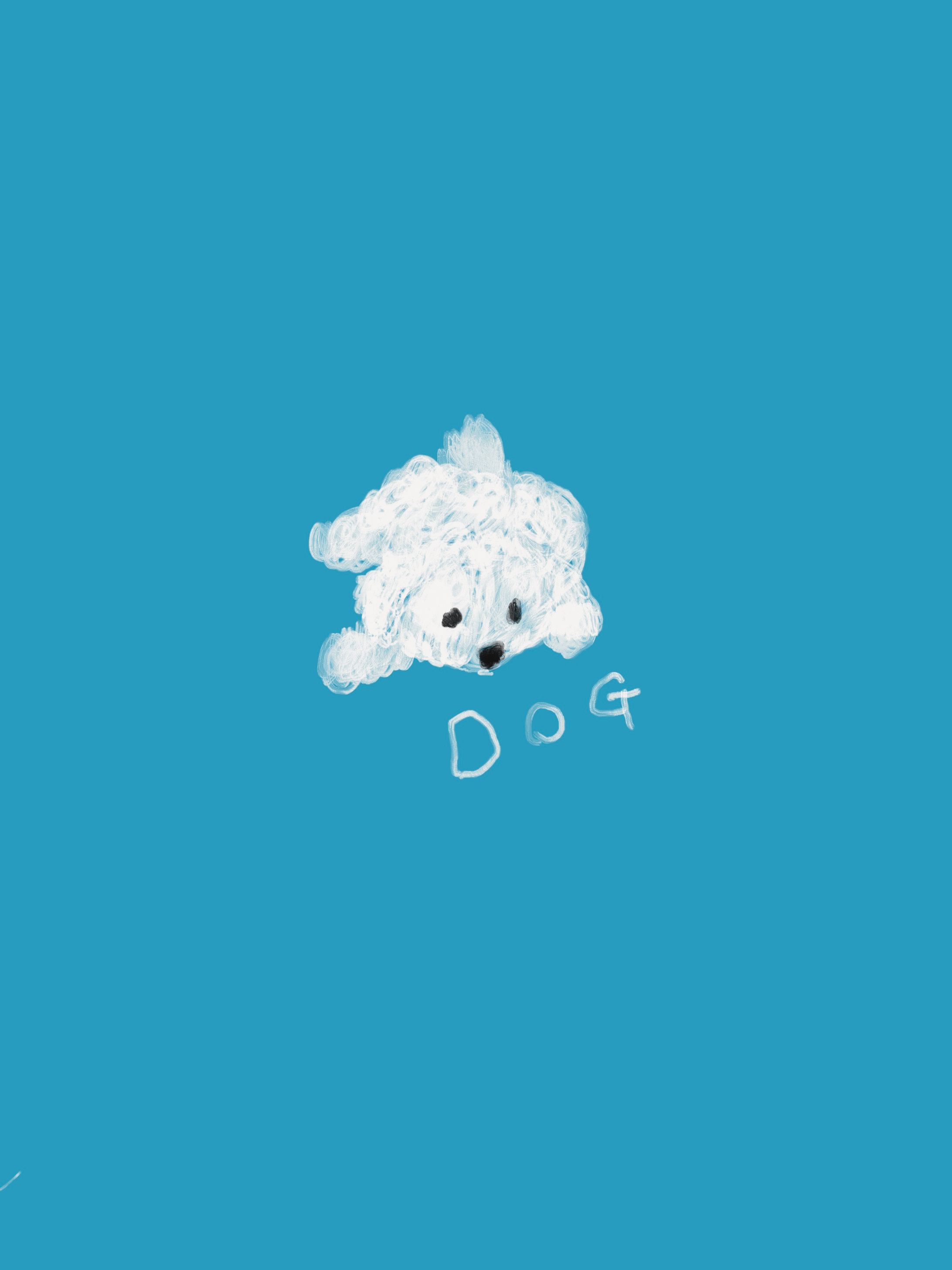 dog-1